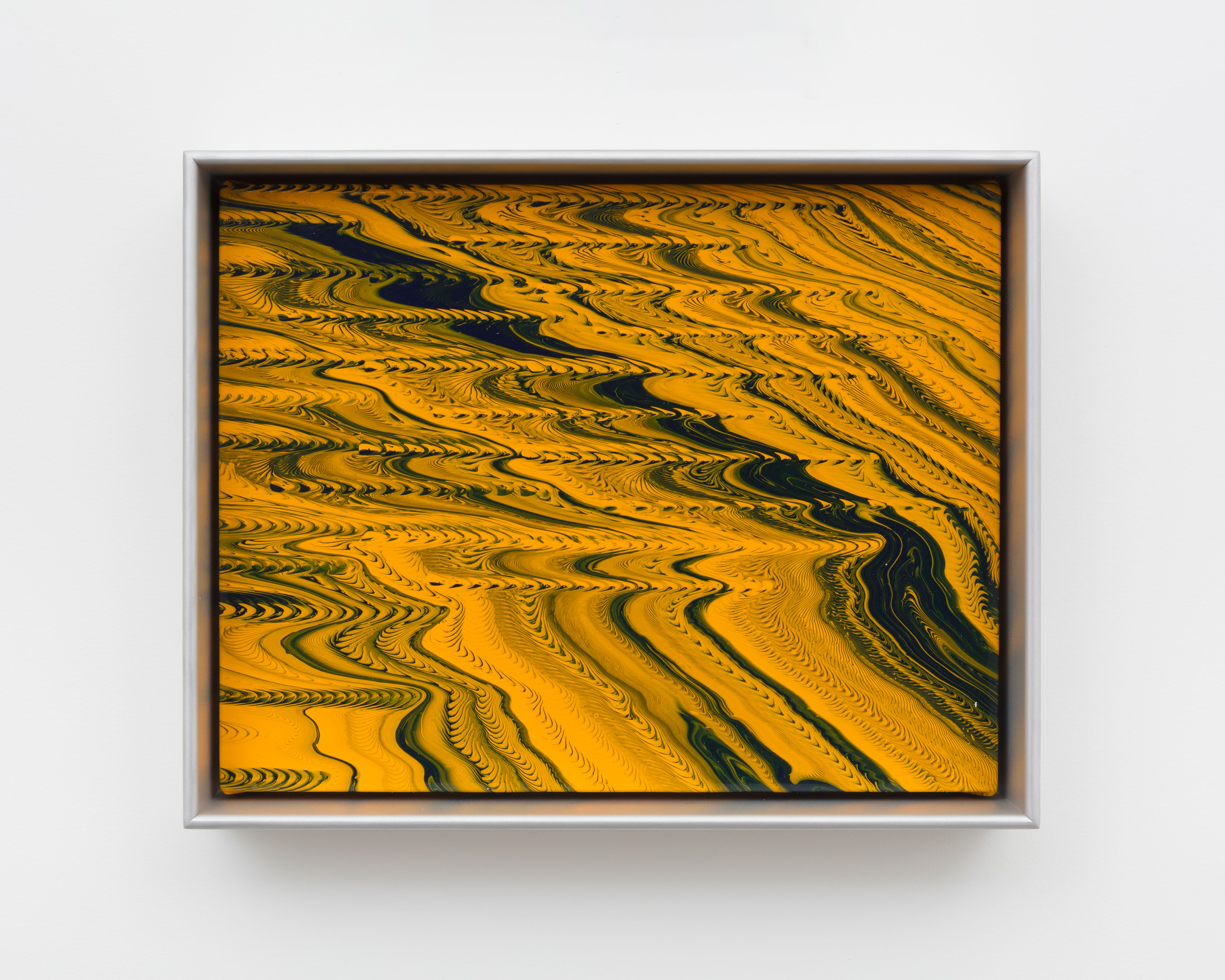 Tauba Auerbach / Paula Cooper Gallery