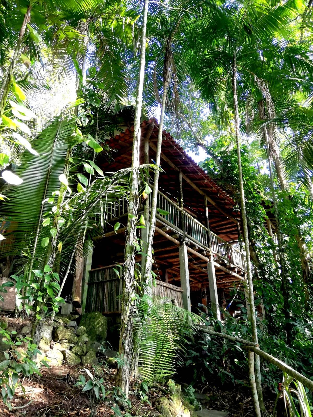 ReMo Hostel: The Best Jungle Tree House Experience in Paraty, Brazil