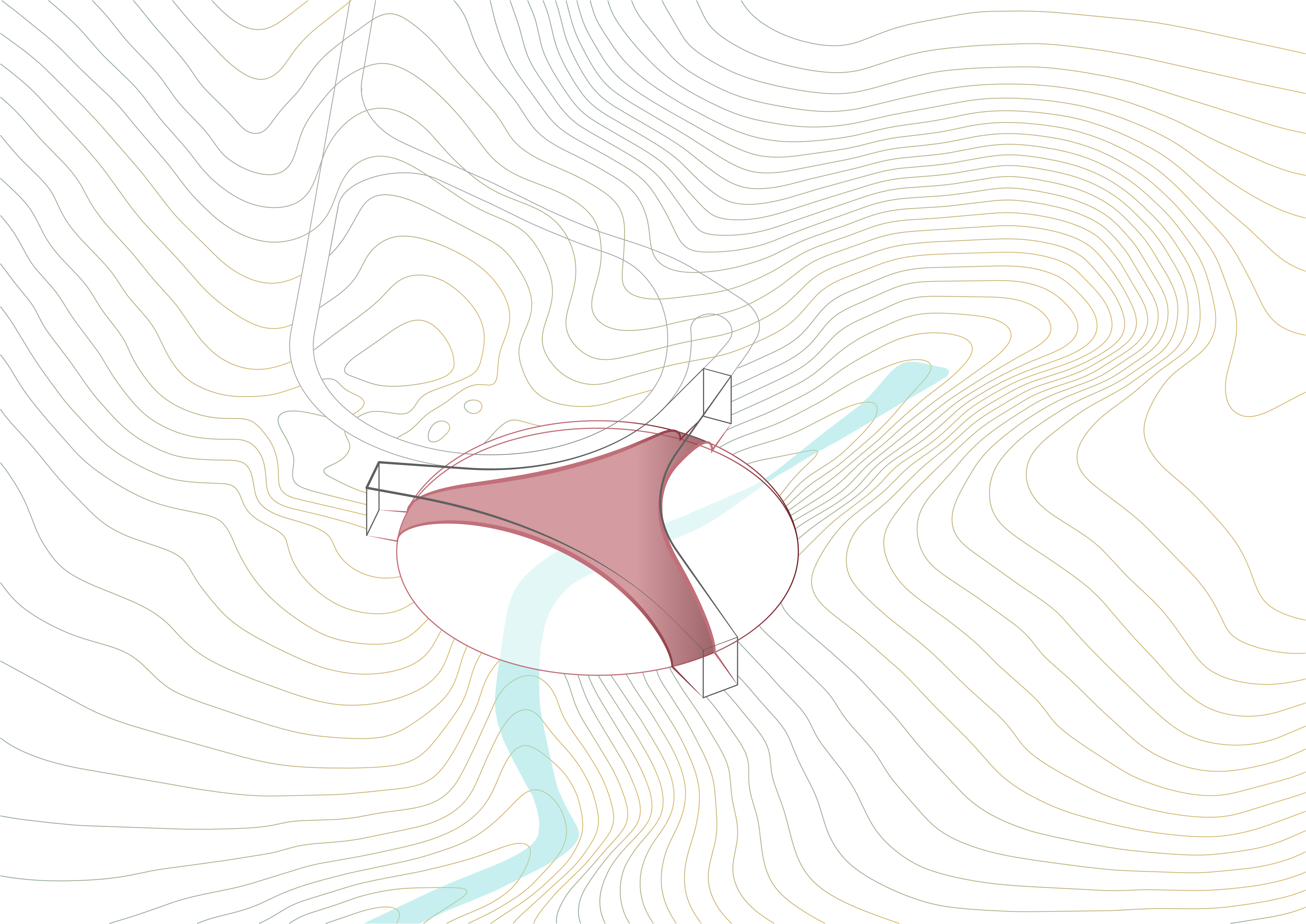 A DomeThe structure spanning the wetlands is a dome. When cut to the shape of the floor plan, this structural system with deep historical precedent takes on a contemporary appearance.