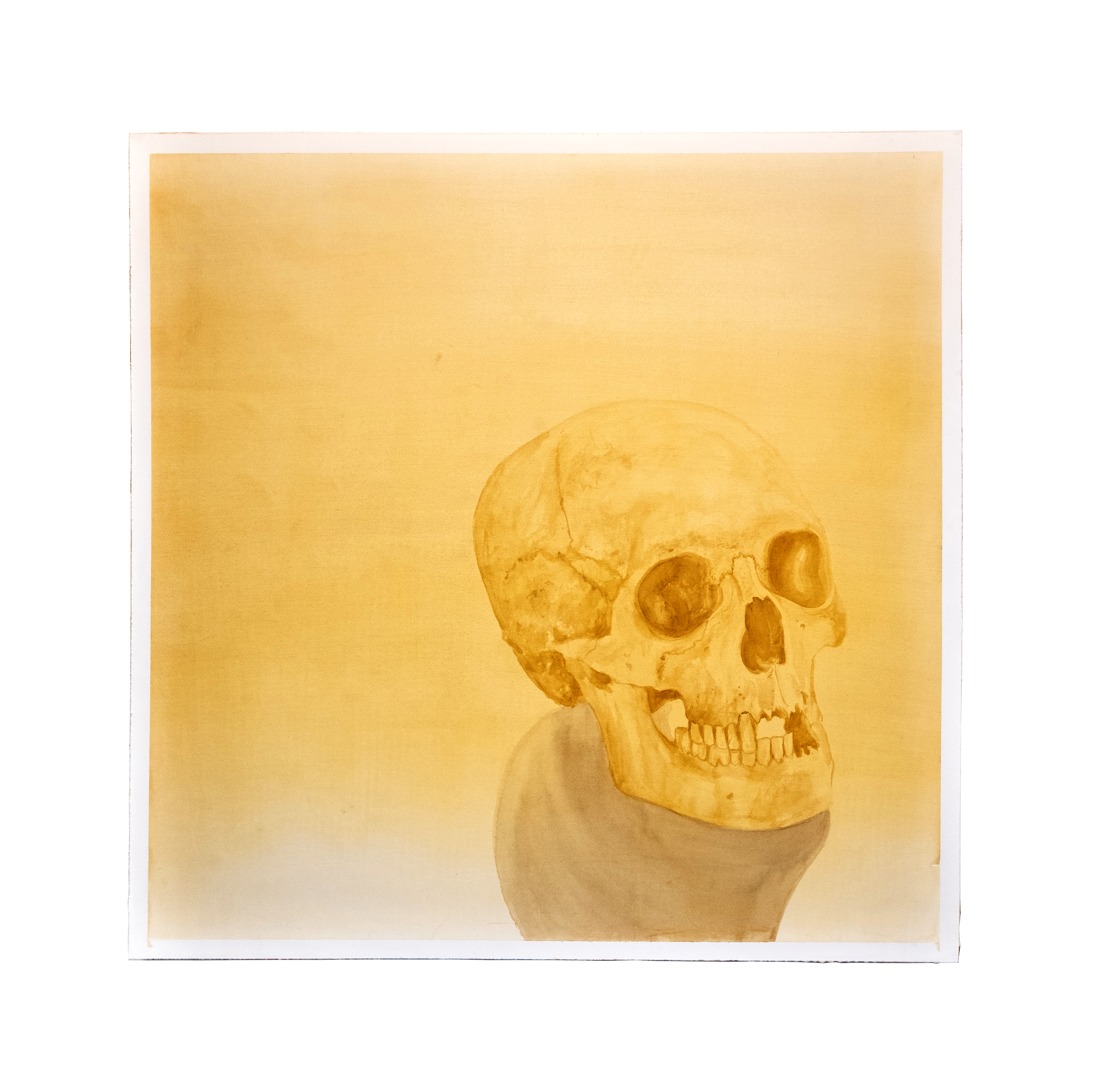 Hold That Thought,&nbsp;2019Watercolor on Arches Paper Adhered to Wood Panel40 x 40 inches (101.6 x 101.6 cm) 🔴