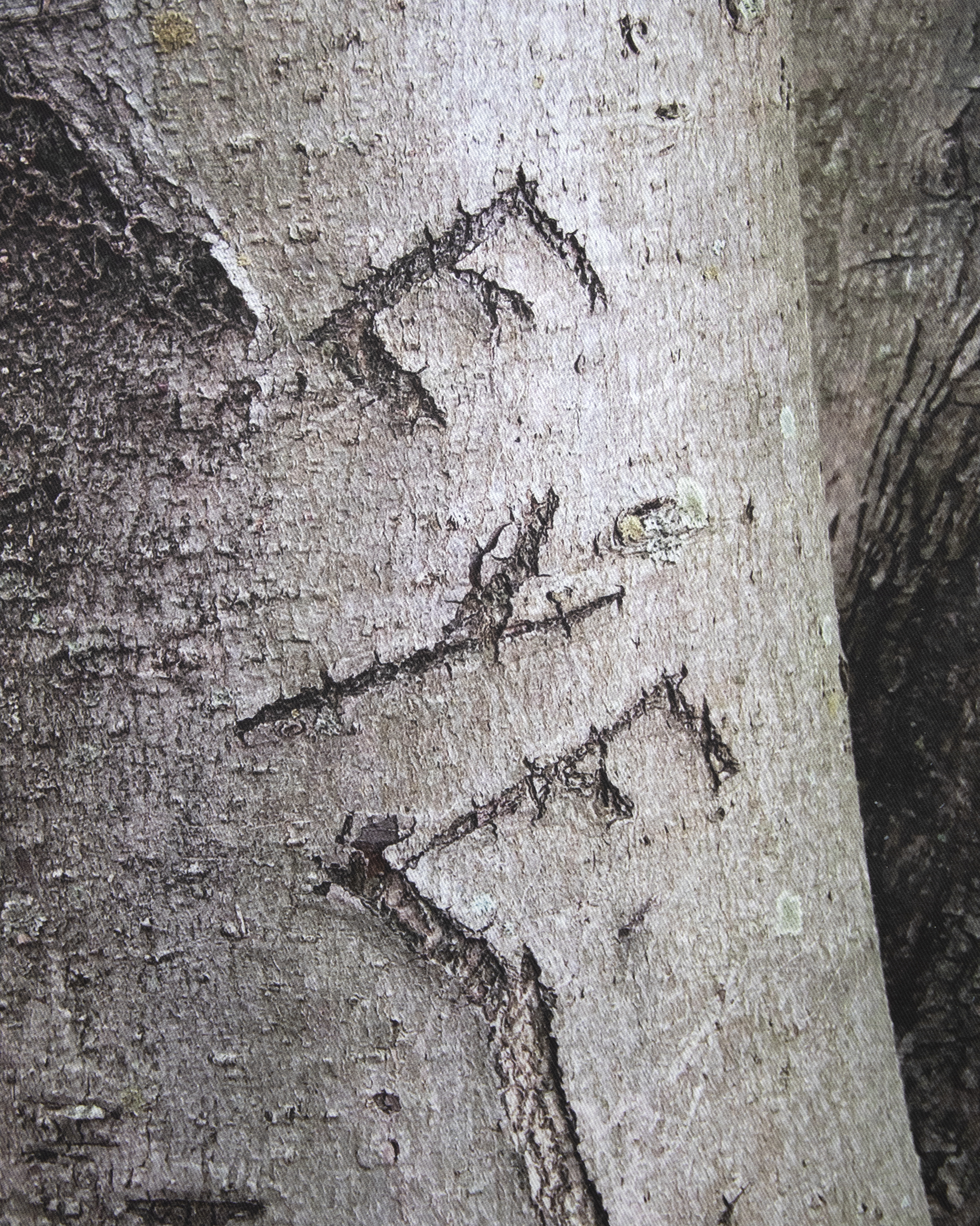 Chicago Gears (watchful and solicitious) ; detail. Photography: Prairie 