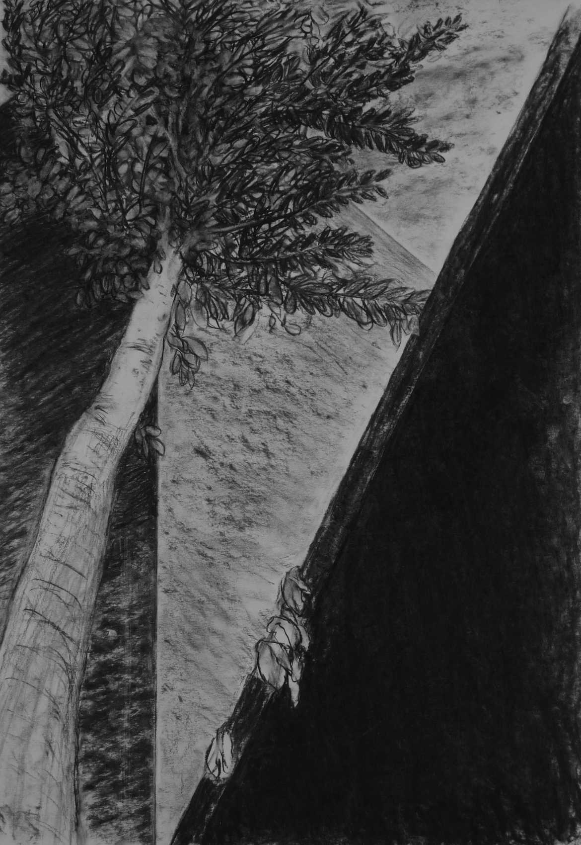 houtskool op papier, 100 x 70 cm