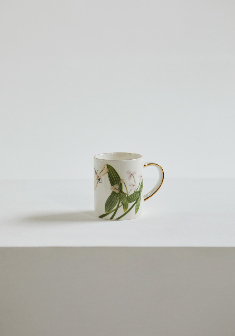 벗풀과 잠자리