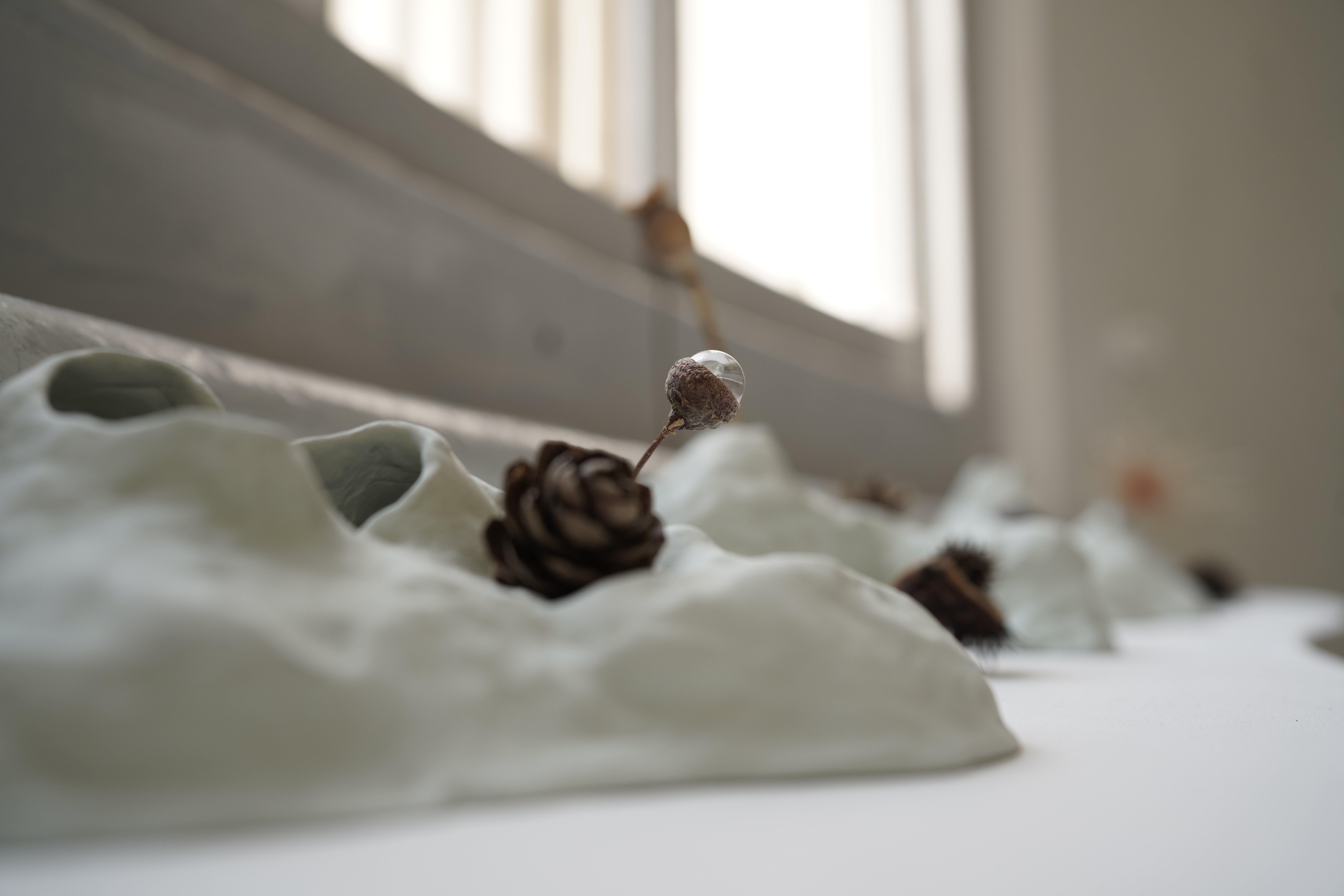 Photo credits Thea Wang