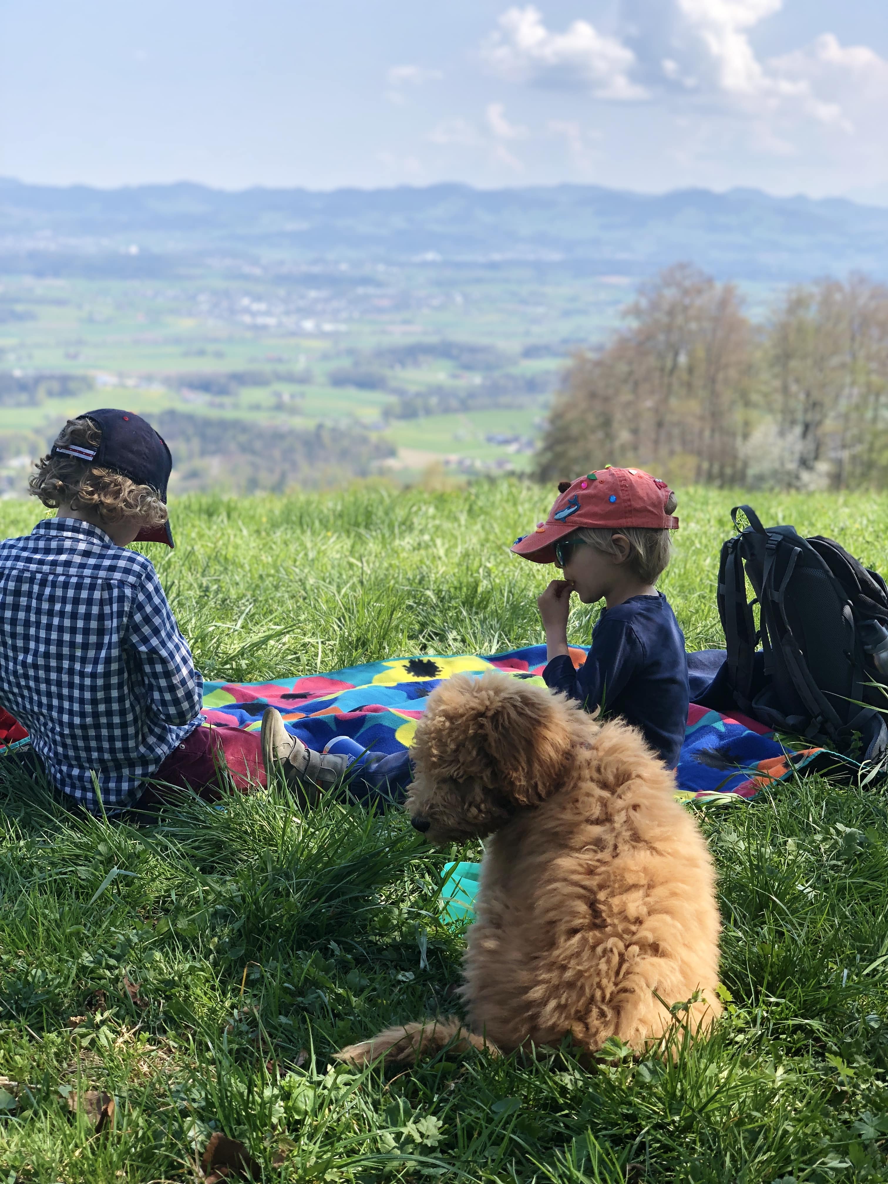 P is for Picnic. Oscar.