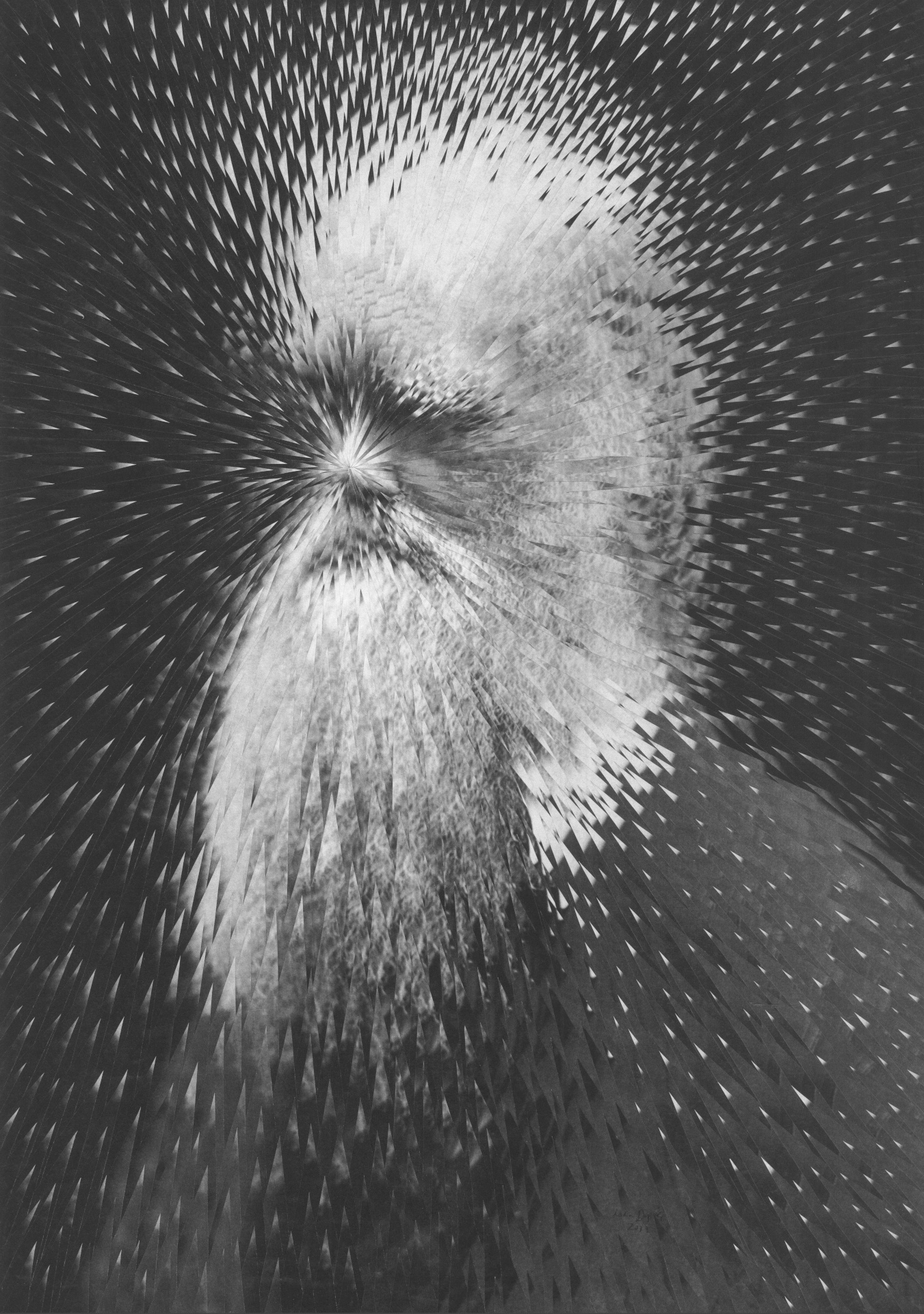 Exploding Darwin, 2011,  11.6 x 16.5 inches