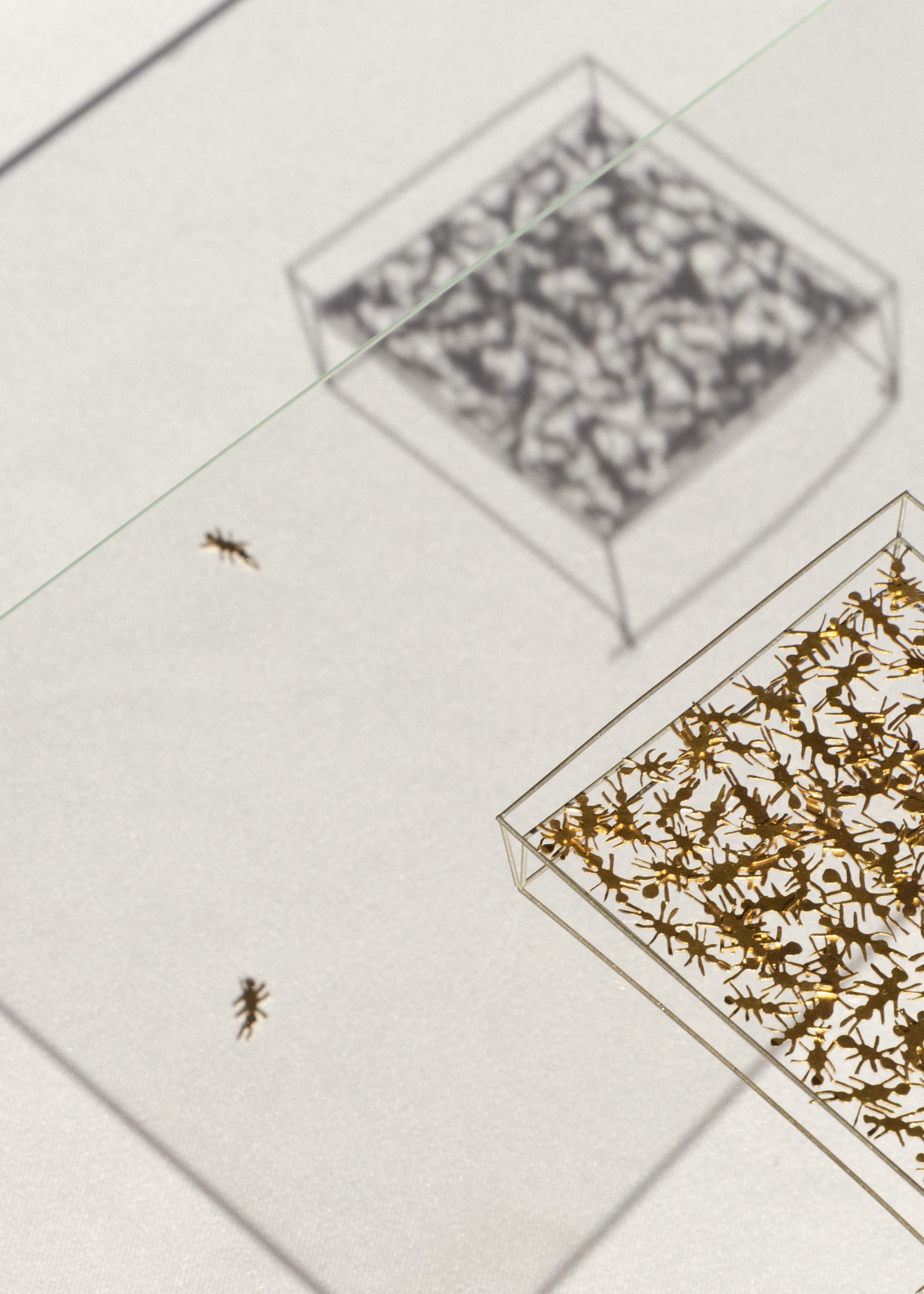 Formication Brooch, 9ct Gold and Steel, 2021. Photographed by Joe Habben.