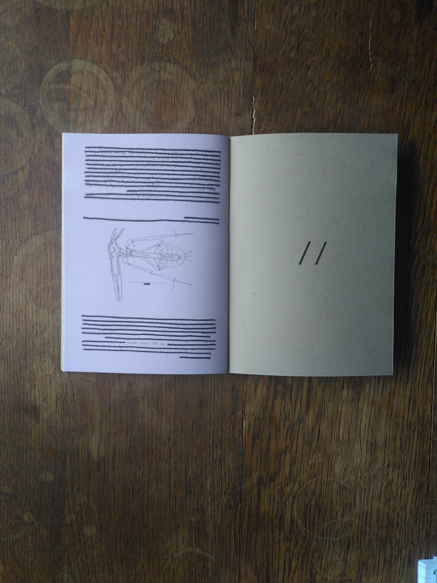 the inside of the zine, revealing a lilac and a cardboard page, and erasure poetry.