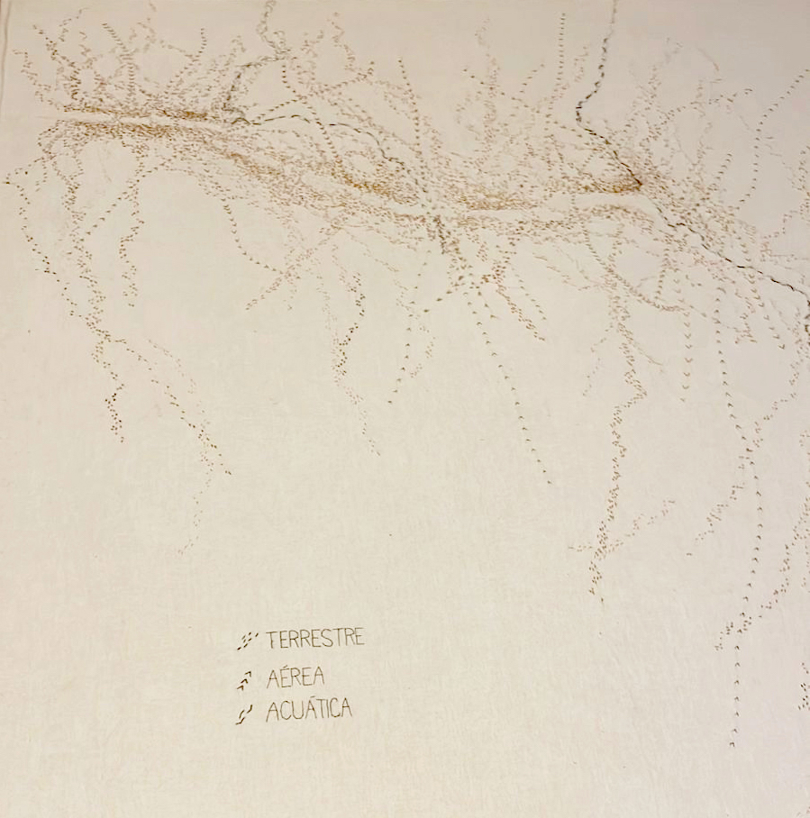 Biosemiótica de un desierto roto