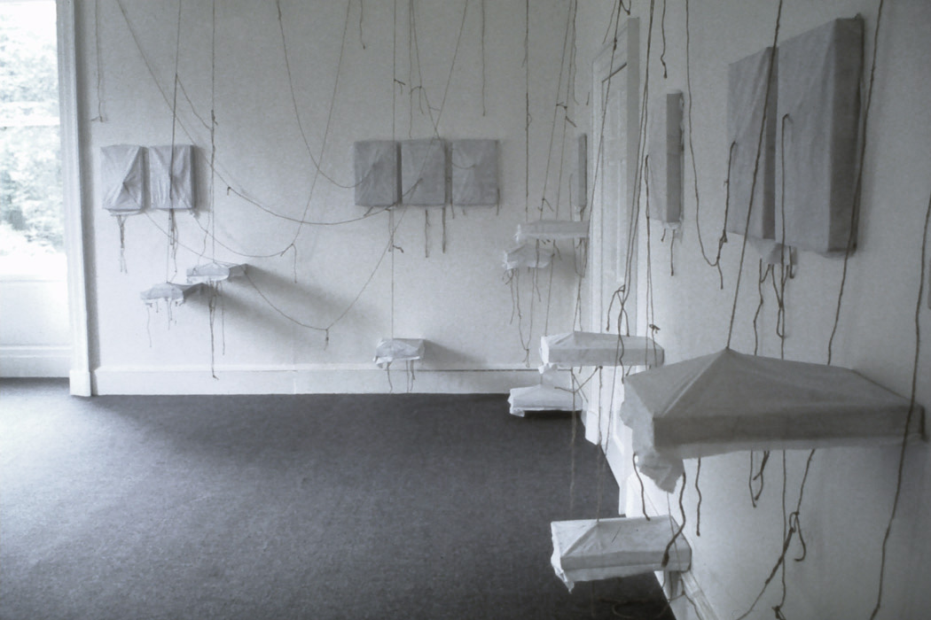 untitled (installation view), muslin, string, paint