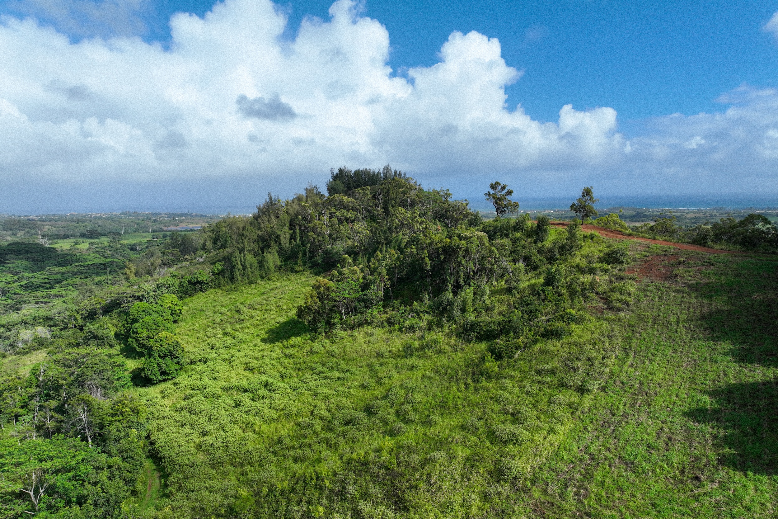 OLOHENA, MAKAUA — In Progress | Master Plan