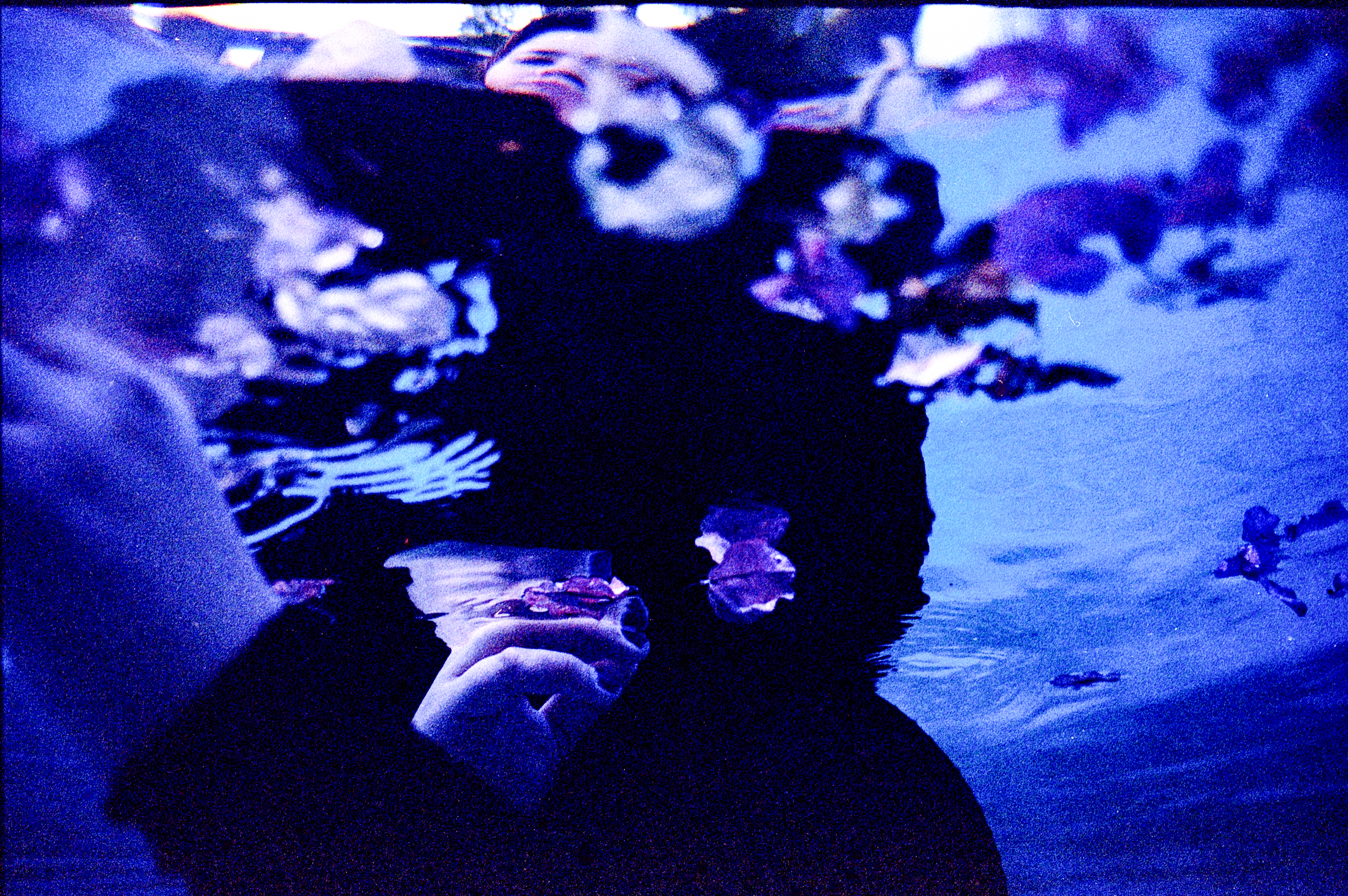 Teagan's blues, Los Angeles, CA 2022