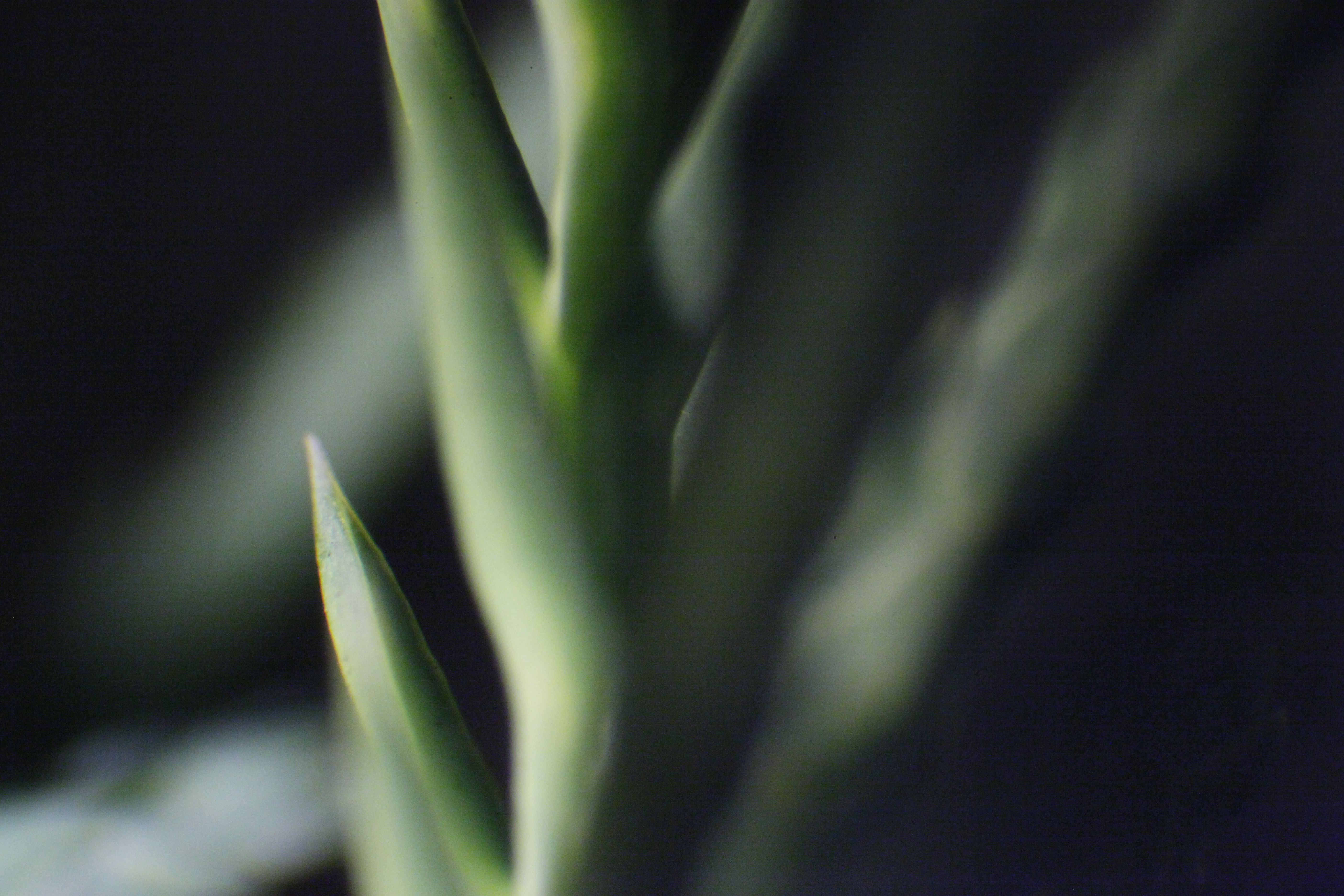 Untitled / Digital Photo