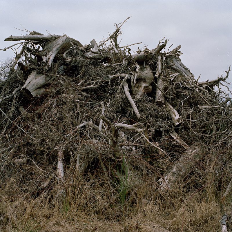 Creuse, 2010, 50x50 cm
