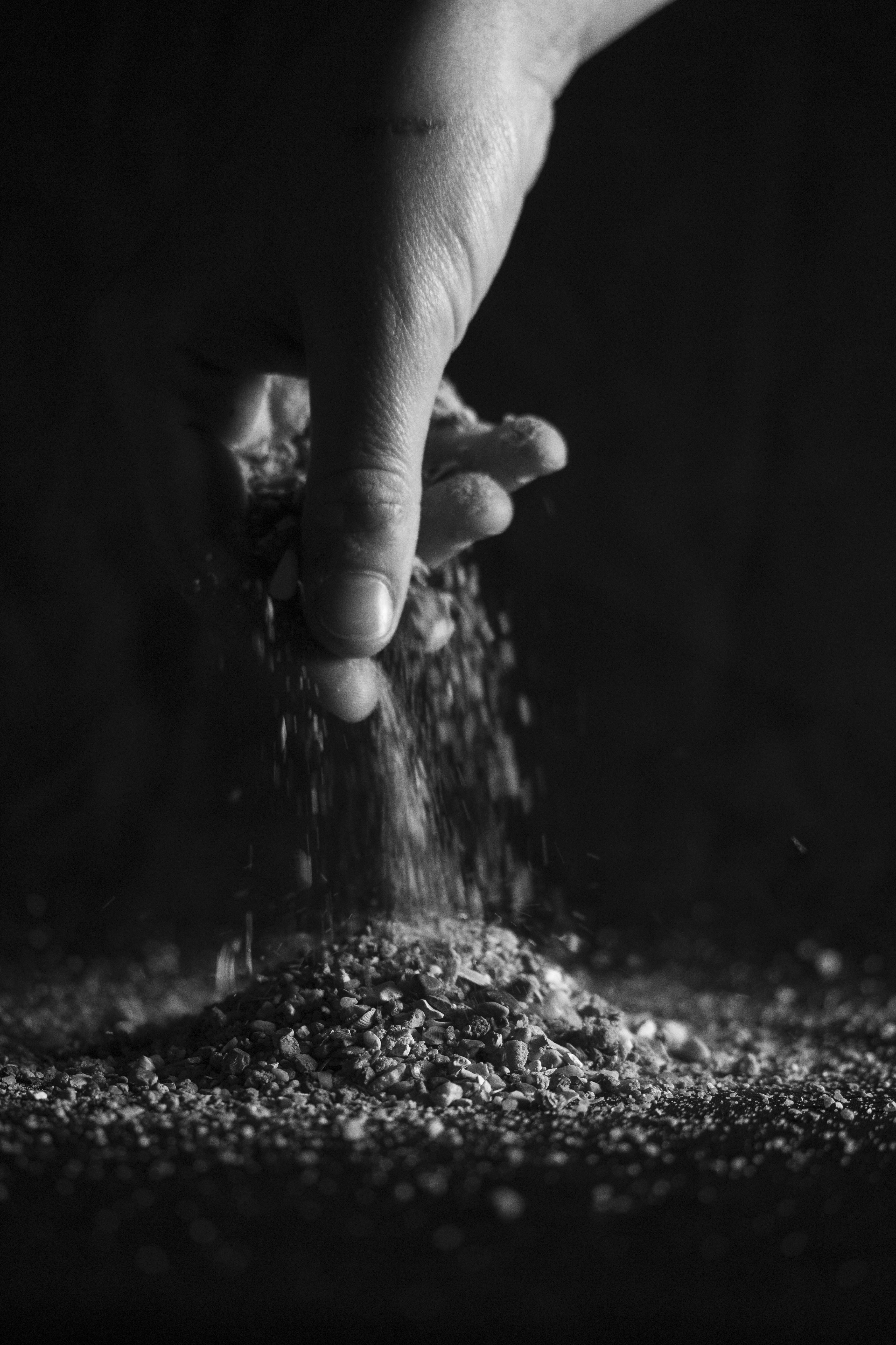 Life, for me. For you.  2024