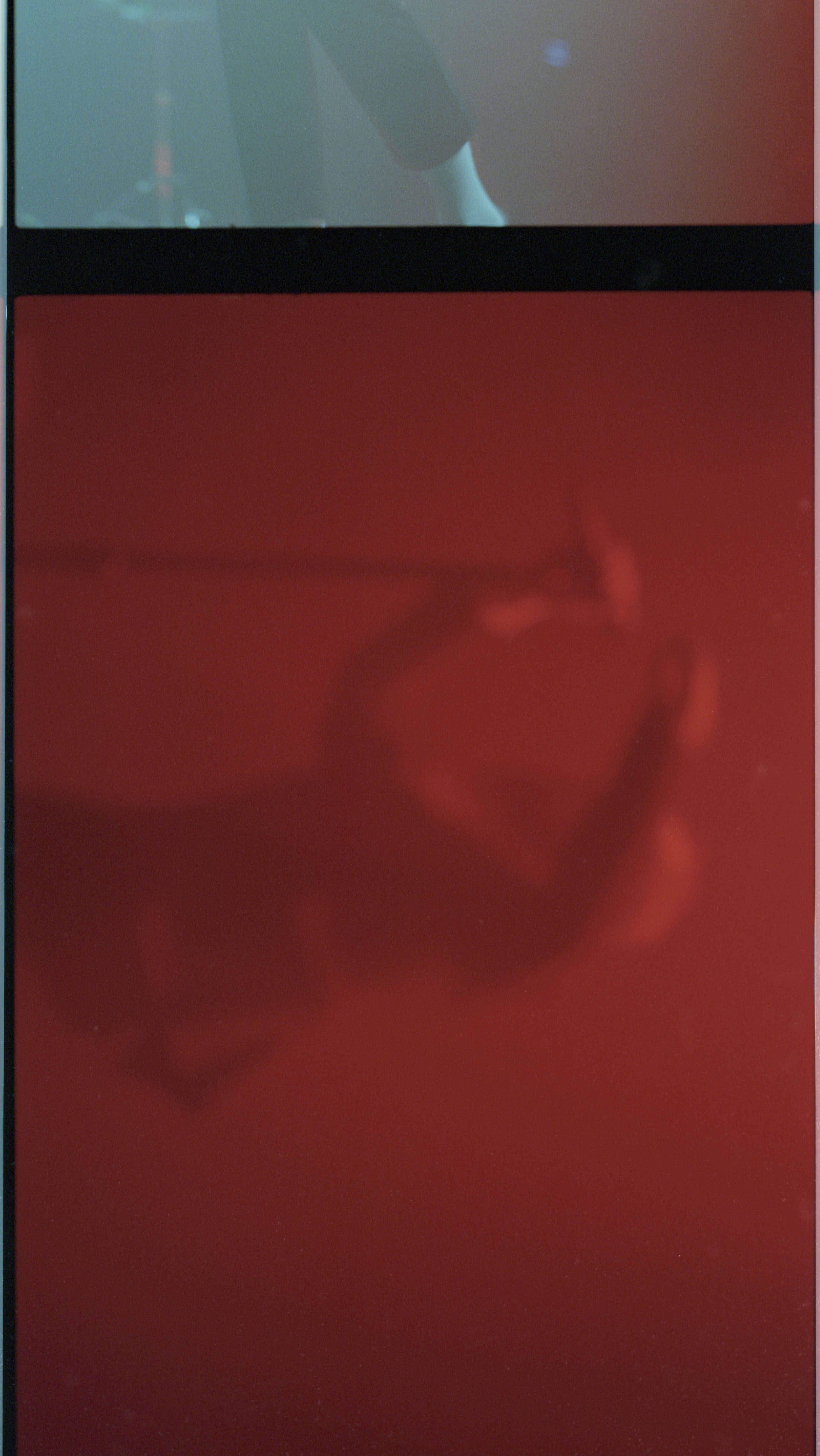 Molchat Doma, Olympia, 2024