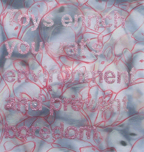 Toys enrich your rats environment and prevent boredom, oil, colored pencil, and glitter on paper, 8 x 8, 2010