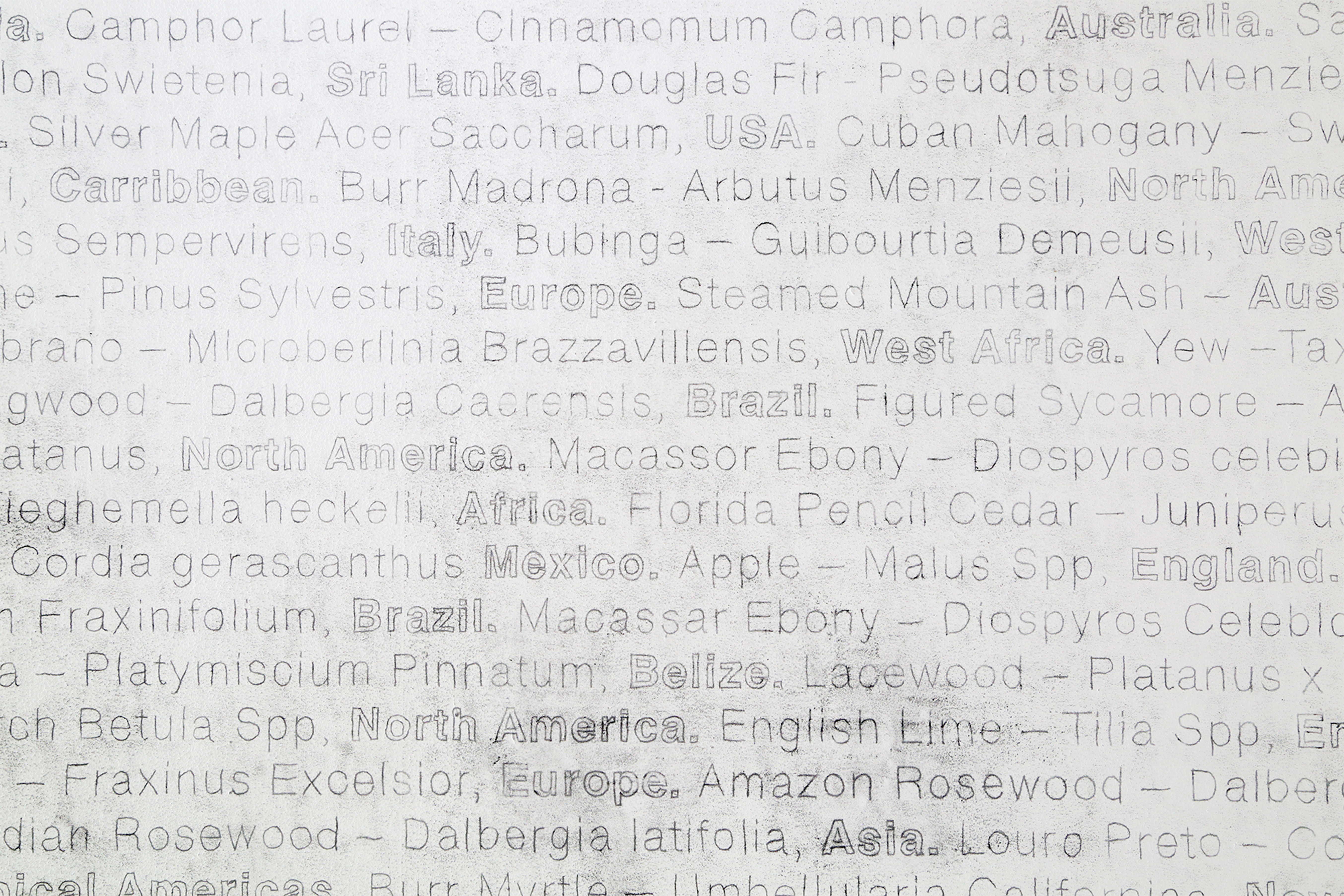 I Don’t Think I Can Wait That Long (Detail), 2016. Charcoal on wall  140 x 140 cm