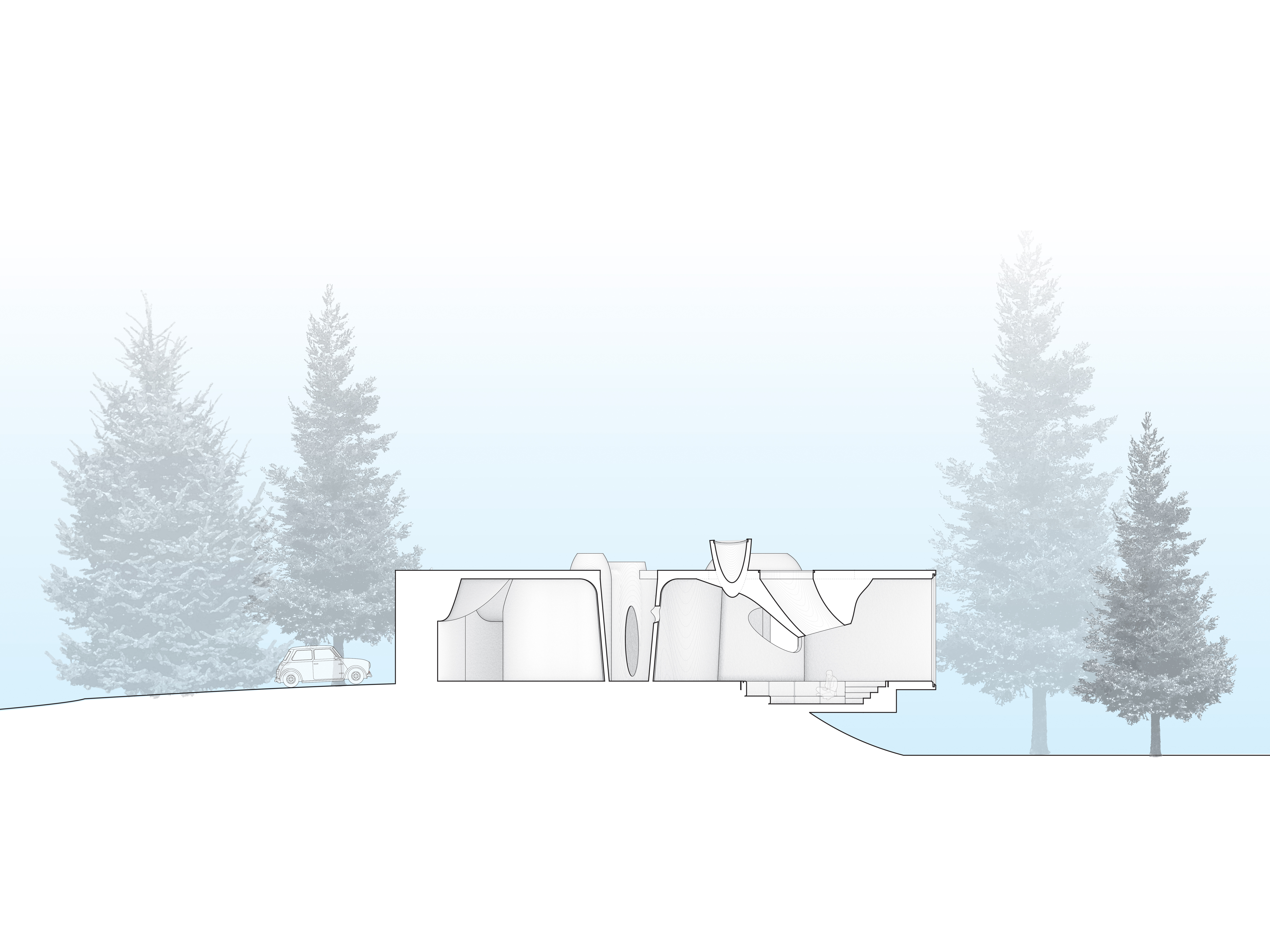 SECTION