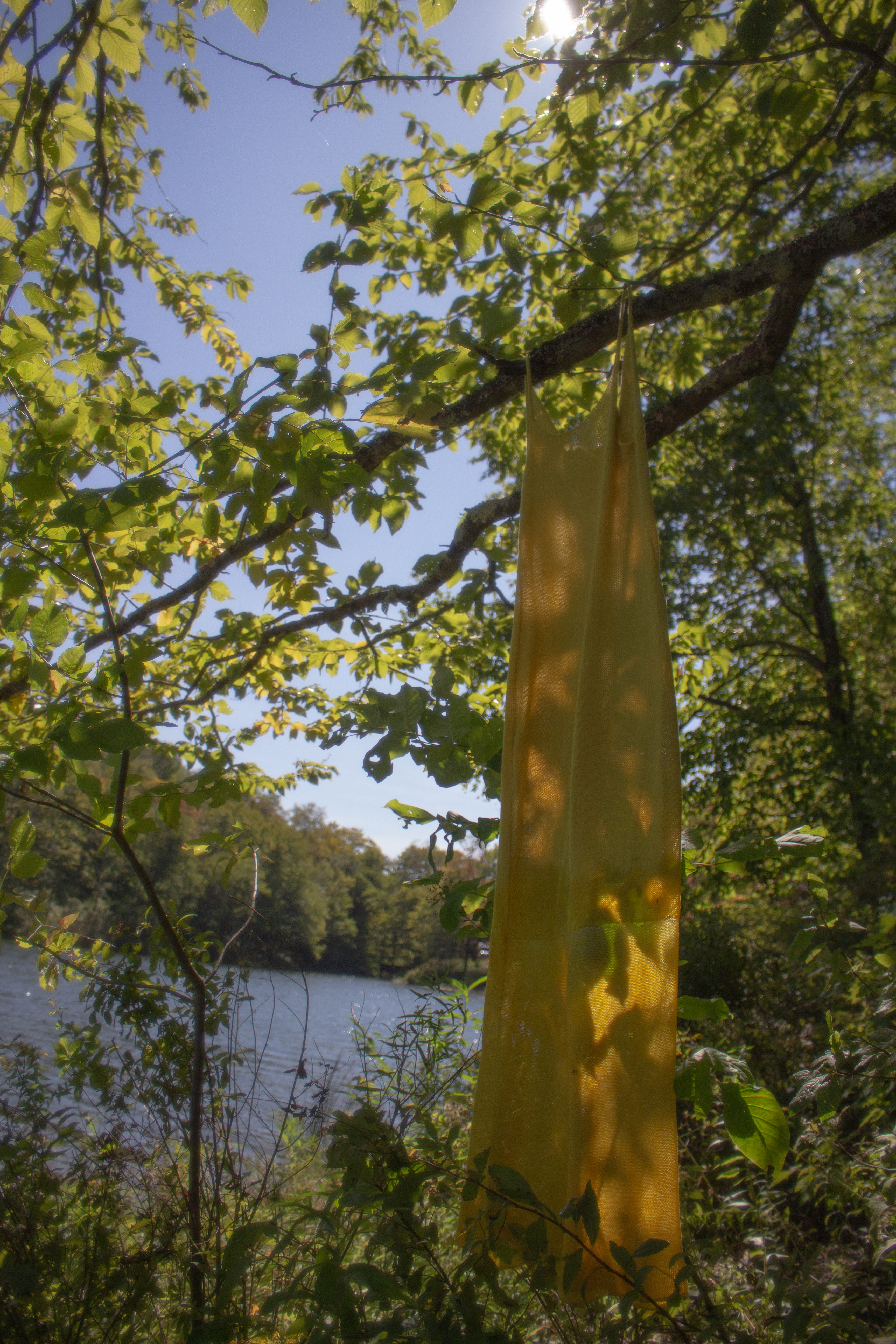 Goldenrod Dress, cotton and goldenrod, 2023, photo by Caroline Bridges