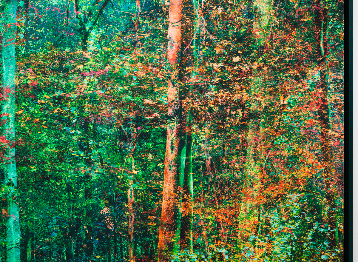 "Songe d'un printemps d'automne", 130x85cm, 2022