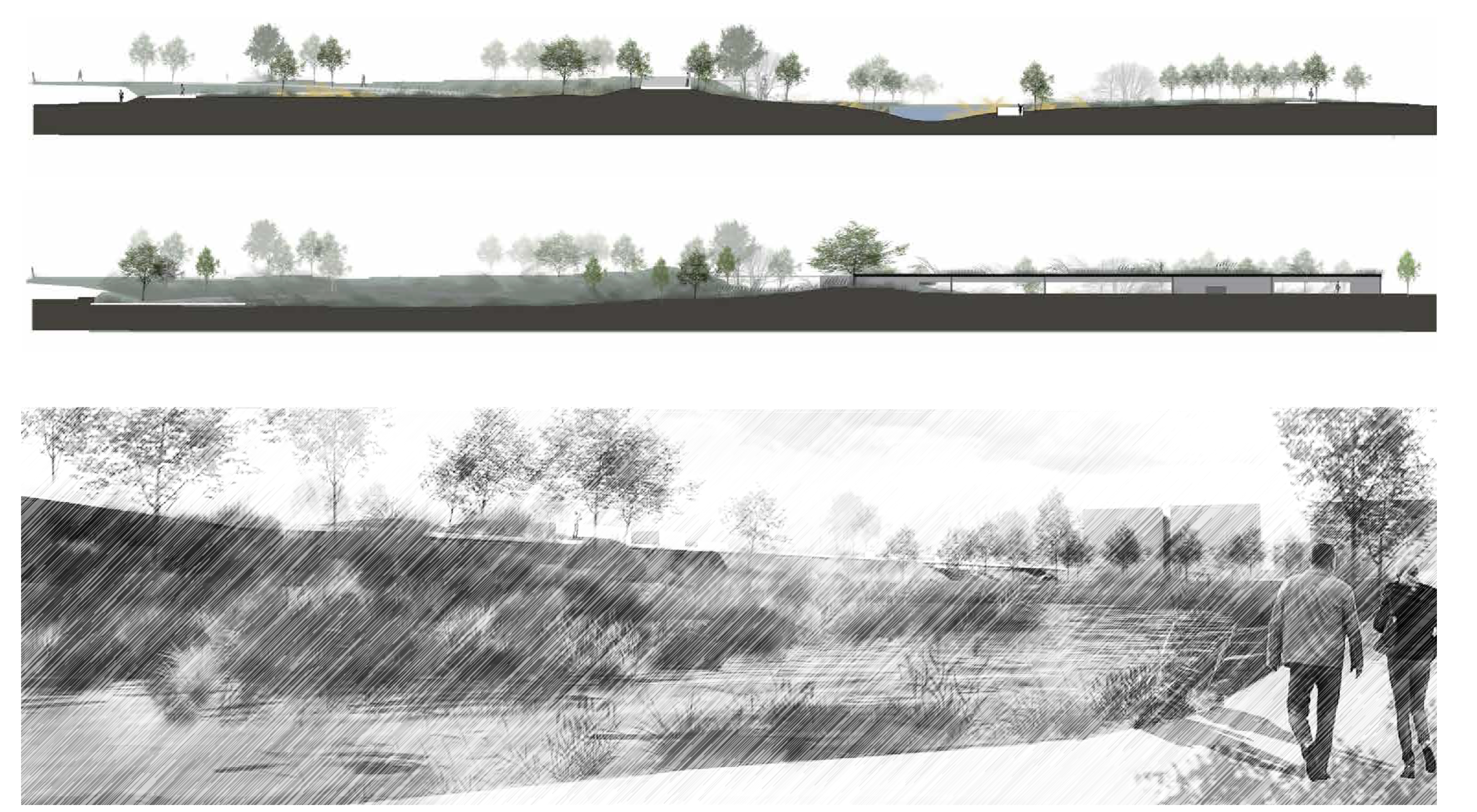 Living Landscape remediation process managed by the community, Yichen Qian, Englewood-Chicago, Spring 2020