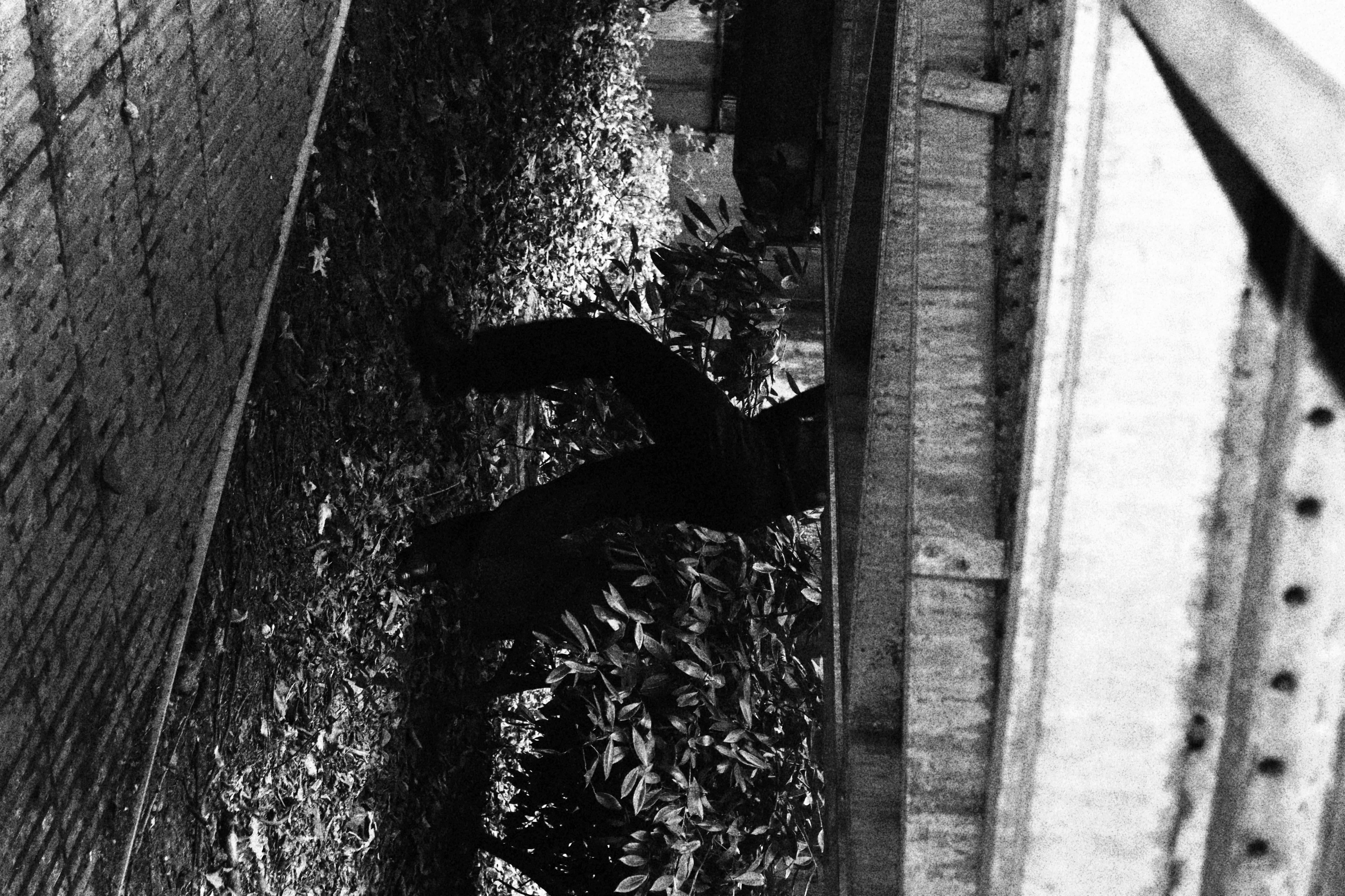 Photography by 9eleste