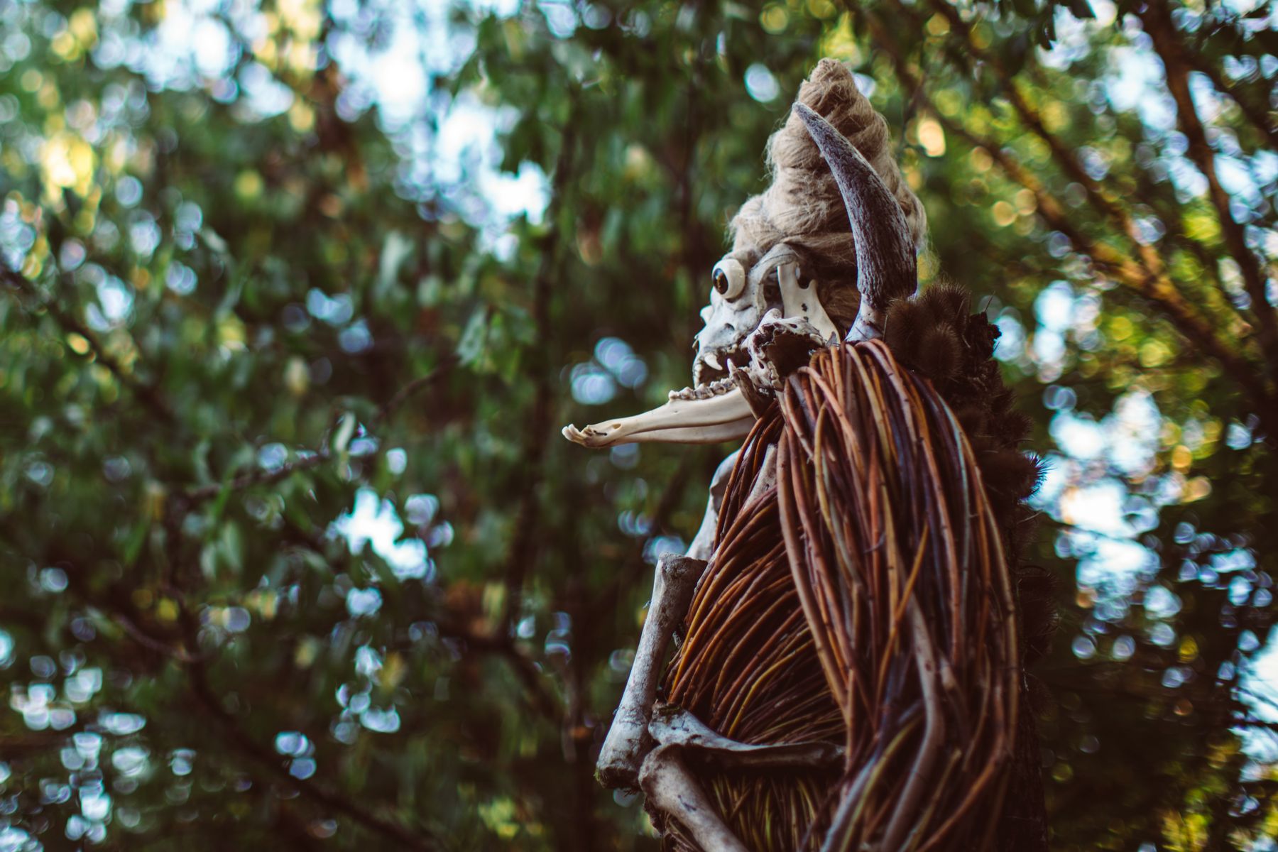 ph: Francesco Buccarelli