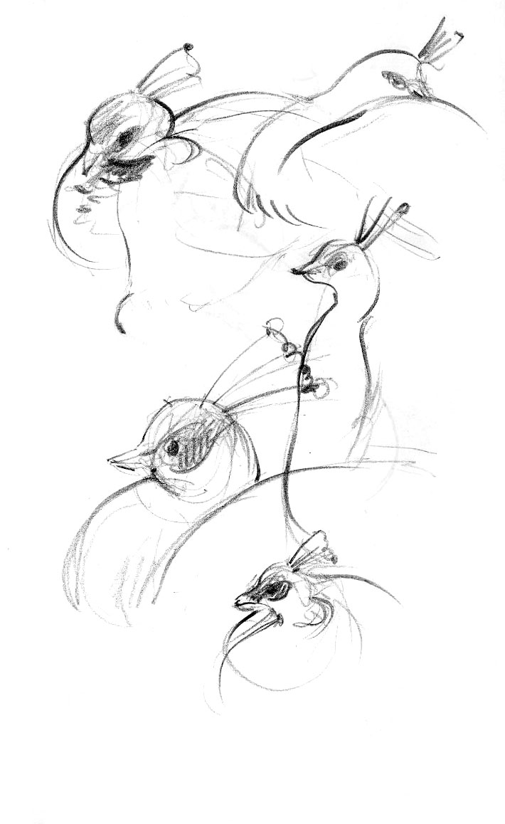 Animals from the farm