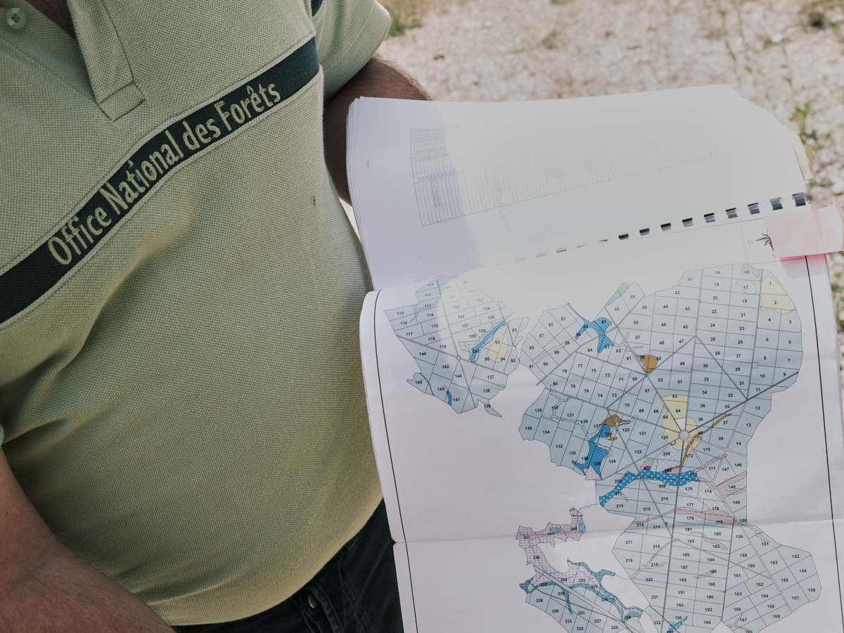 Le garde forestier, de l'office national des forêts repère les parcelles sur la carte de la forêt 
