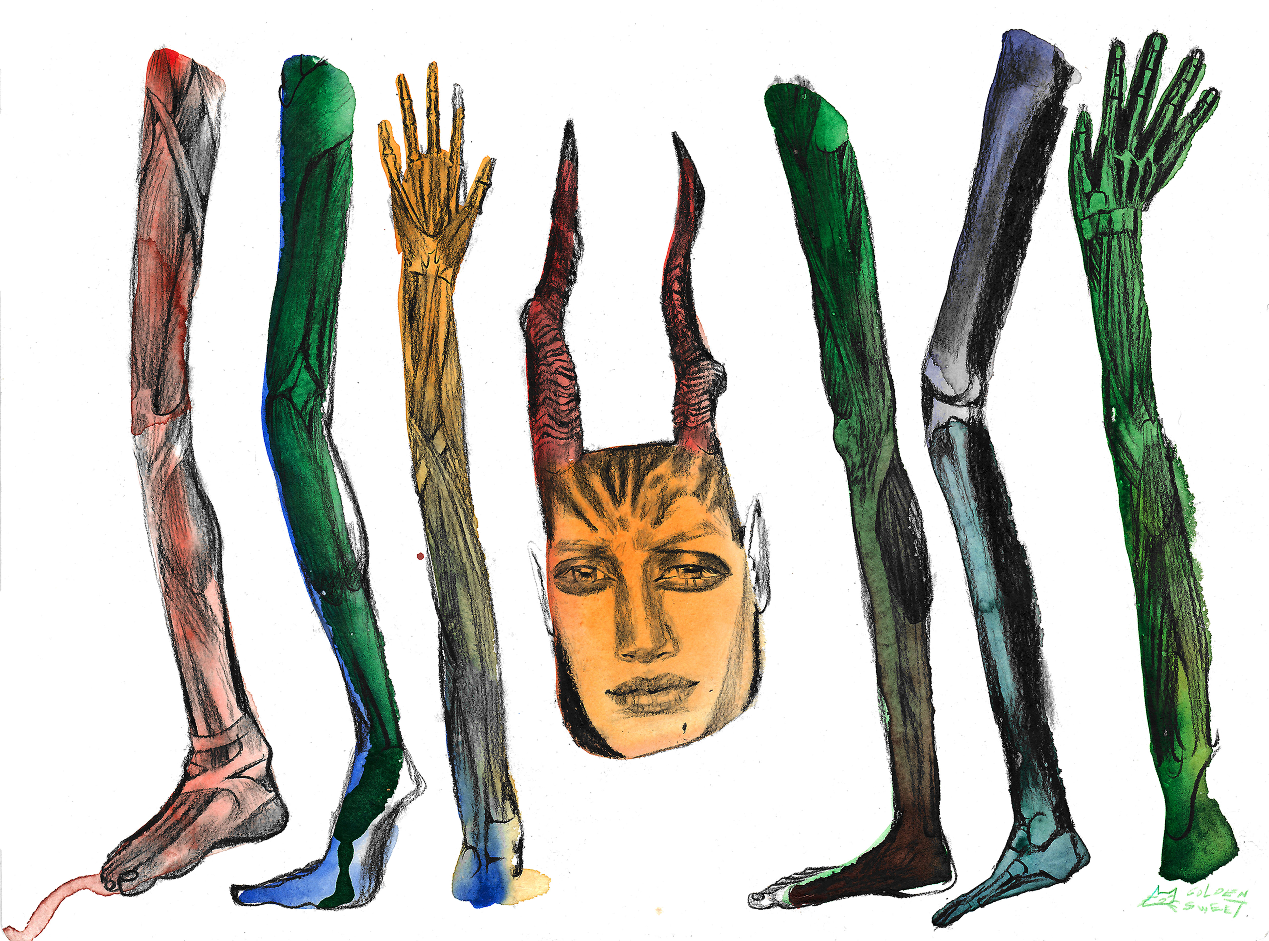 T͓̽h͓̽e͓̽ ͓̽M͓̽a͓̽k͓̽i͓̽n͓̽g͓̽ ͓̽o͓̽f͓̽ ͓̽P͓̽a͓̽n͓̽