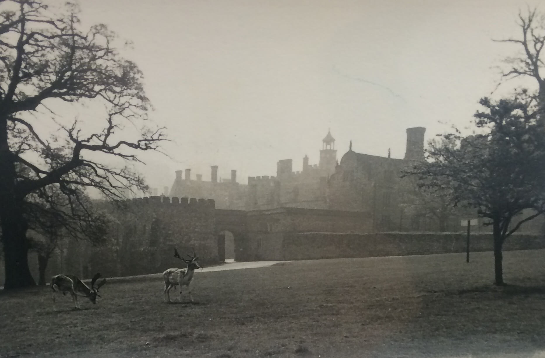 Sissinghurst Castle, 1962. Photo by Sylvère Lotringer.