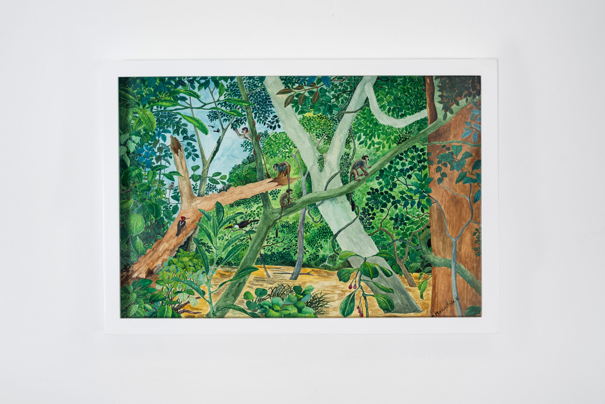 Monos Chichicos, Acuarela sobre papel, 31 x 46 cms, 2020