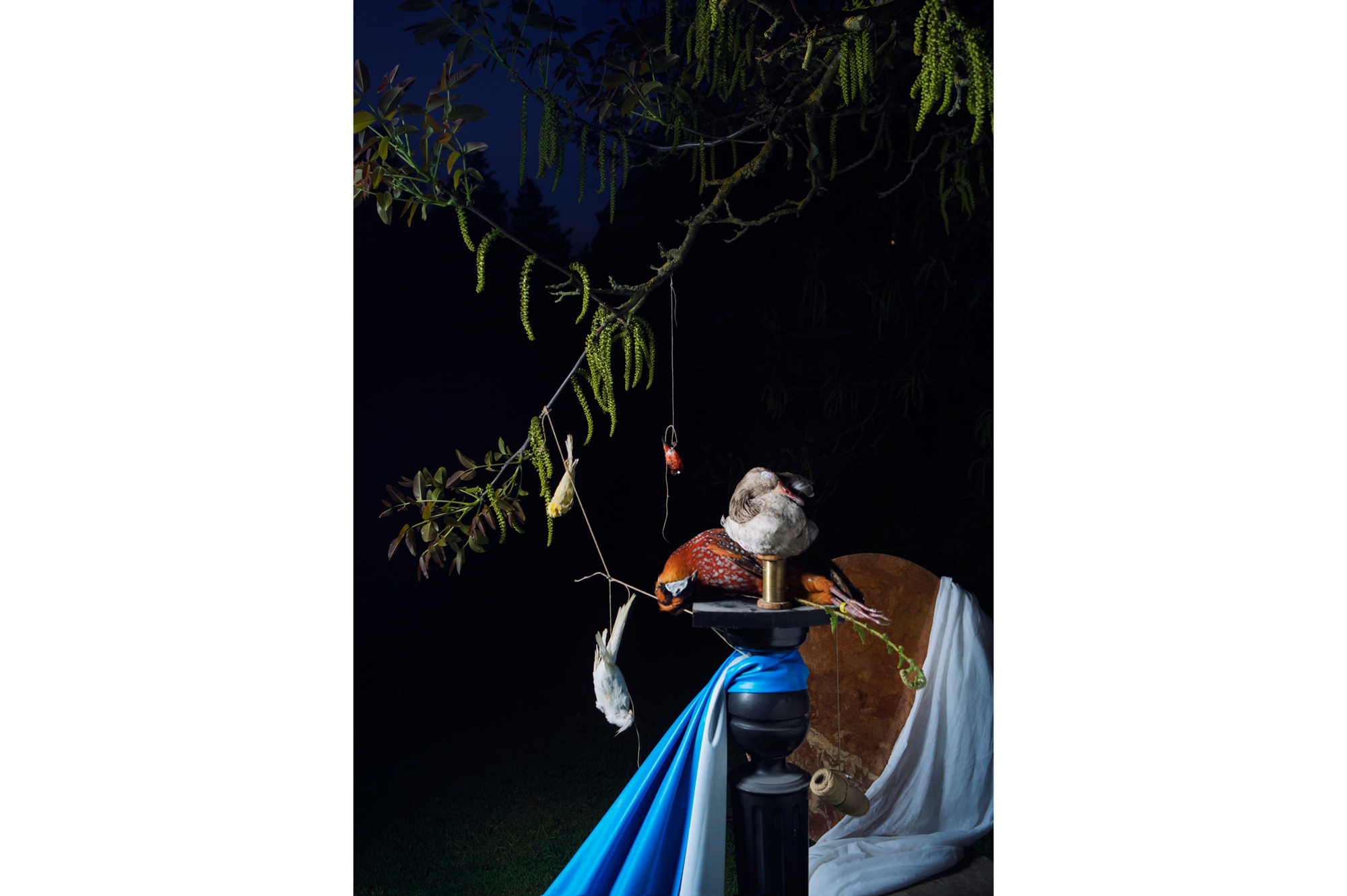 The Hunting, 2017, MAS museum