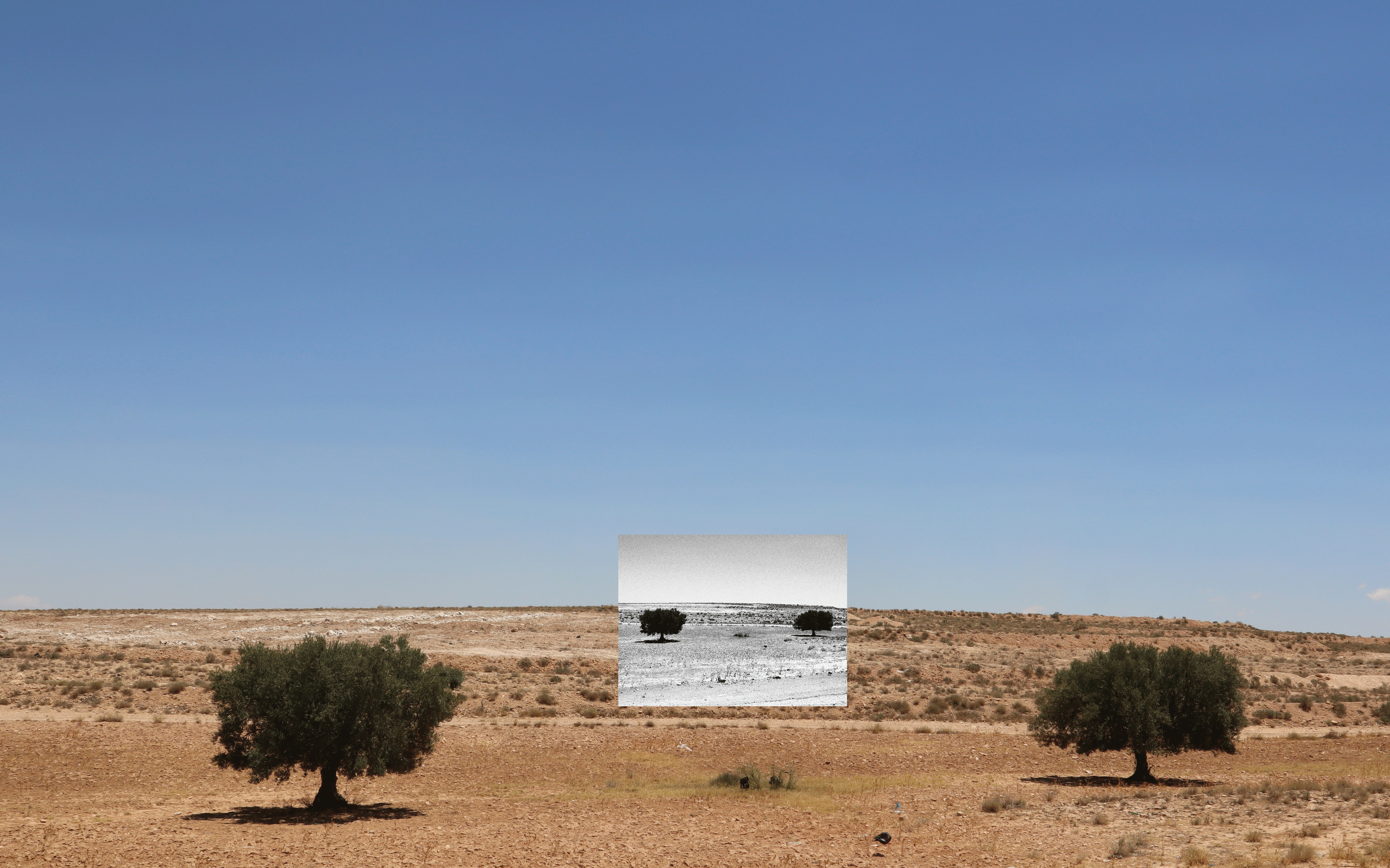 Amira Lamti, Love in Between, 2022