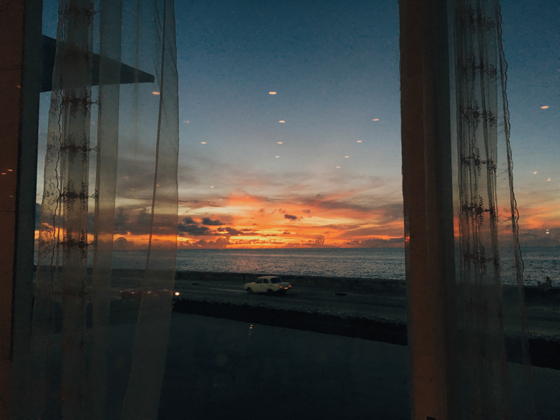 The Flowers at Hotel Riviera are made of Plastic, from the series The Ones Who Stayed, 2016