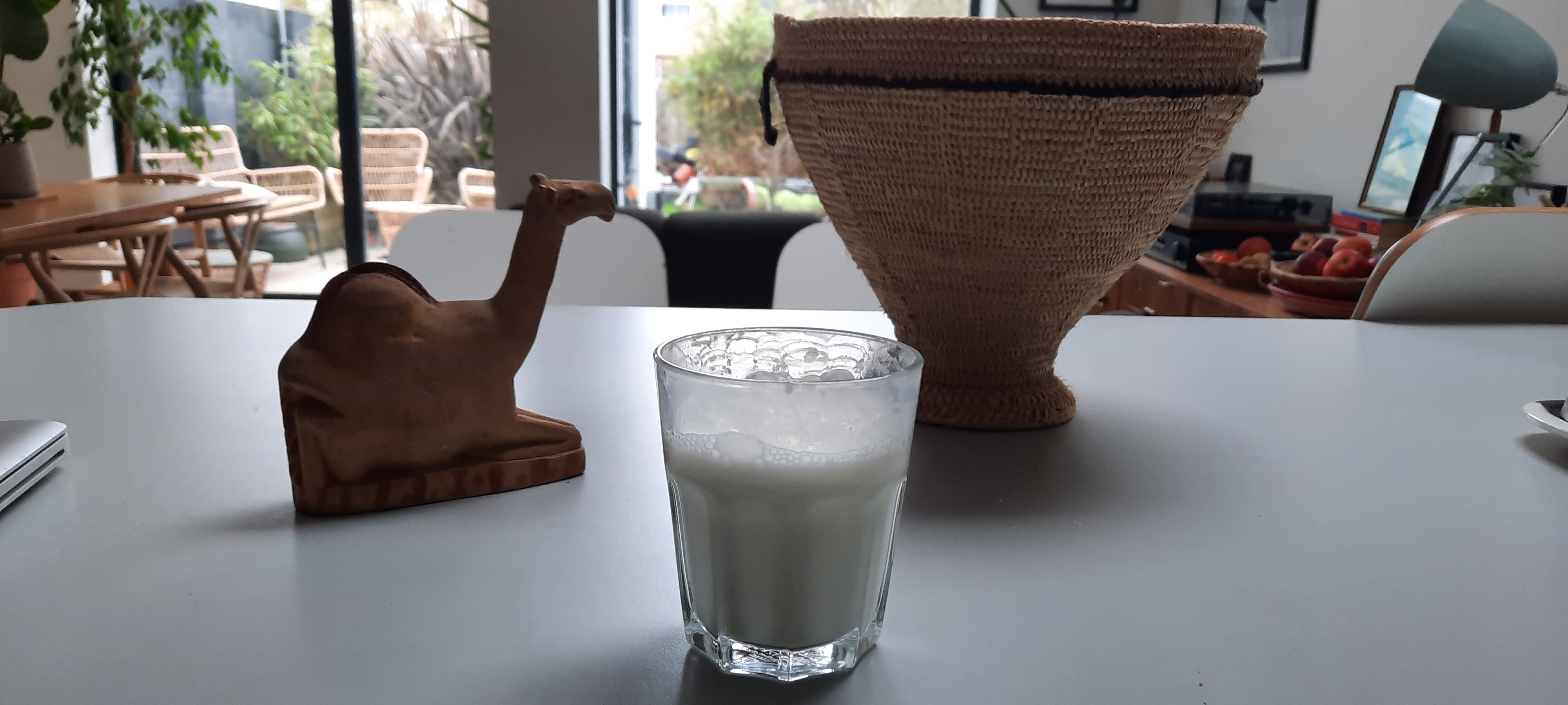 Camel basket and milk: Left to right, a wooden carving of a camel sitting down, glass of substitute camel milk and a nomadic camel weaved basket that would be used whilst m