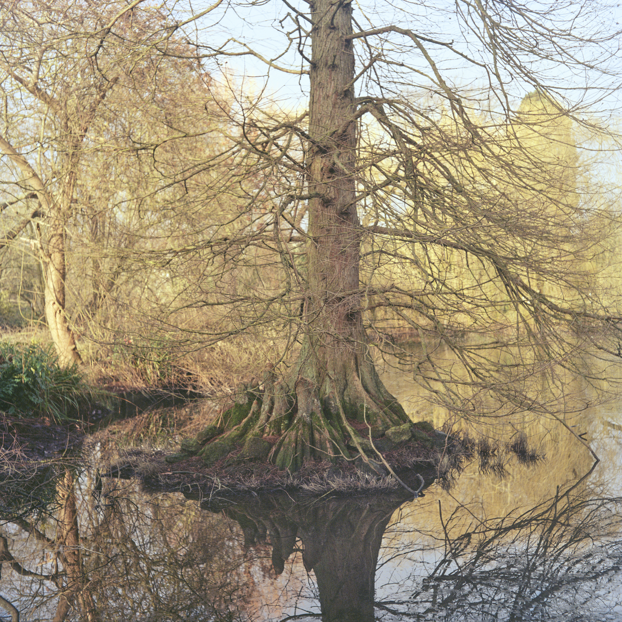 winter in cambridge 02