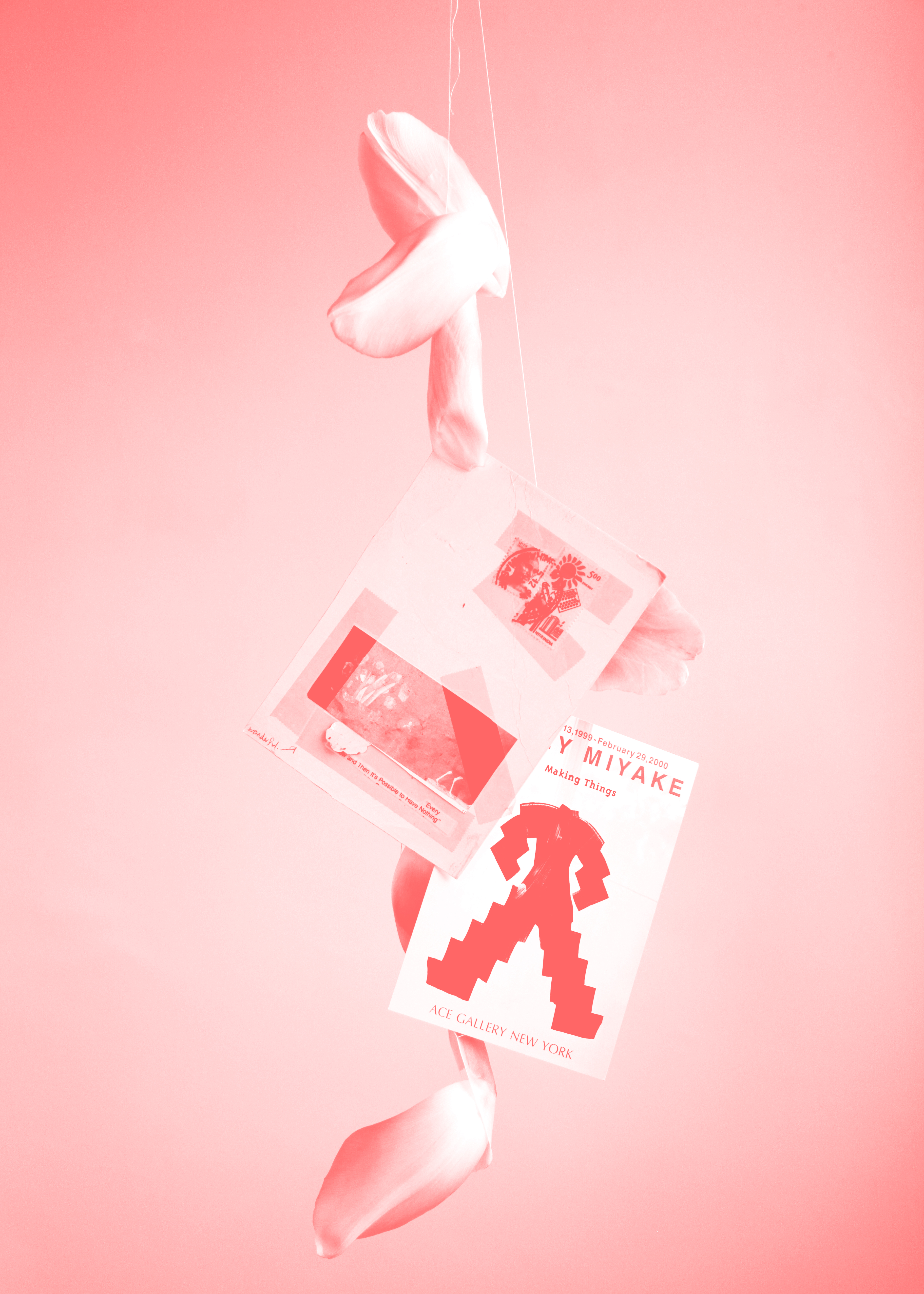 Fragments of Rosalie, 2021