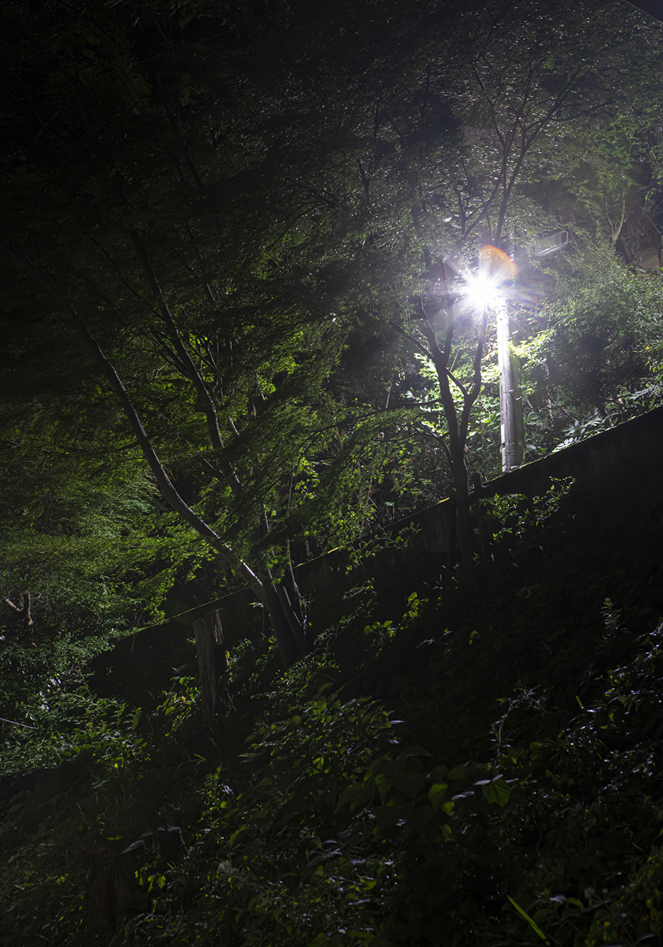 PHOTOGRAPHY RAF STUDIO  VILLA KUJOYAMA KYOTO ART CENTER SYNCHRONICITY EXHIBITION