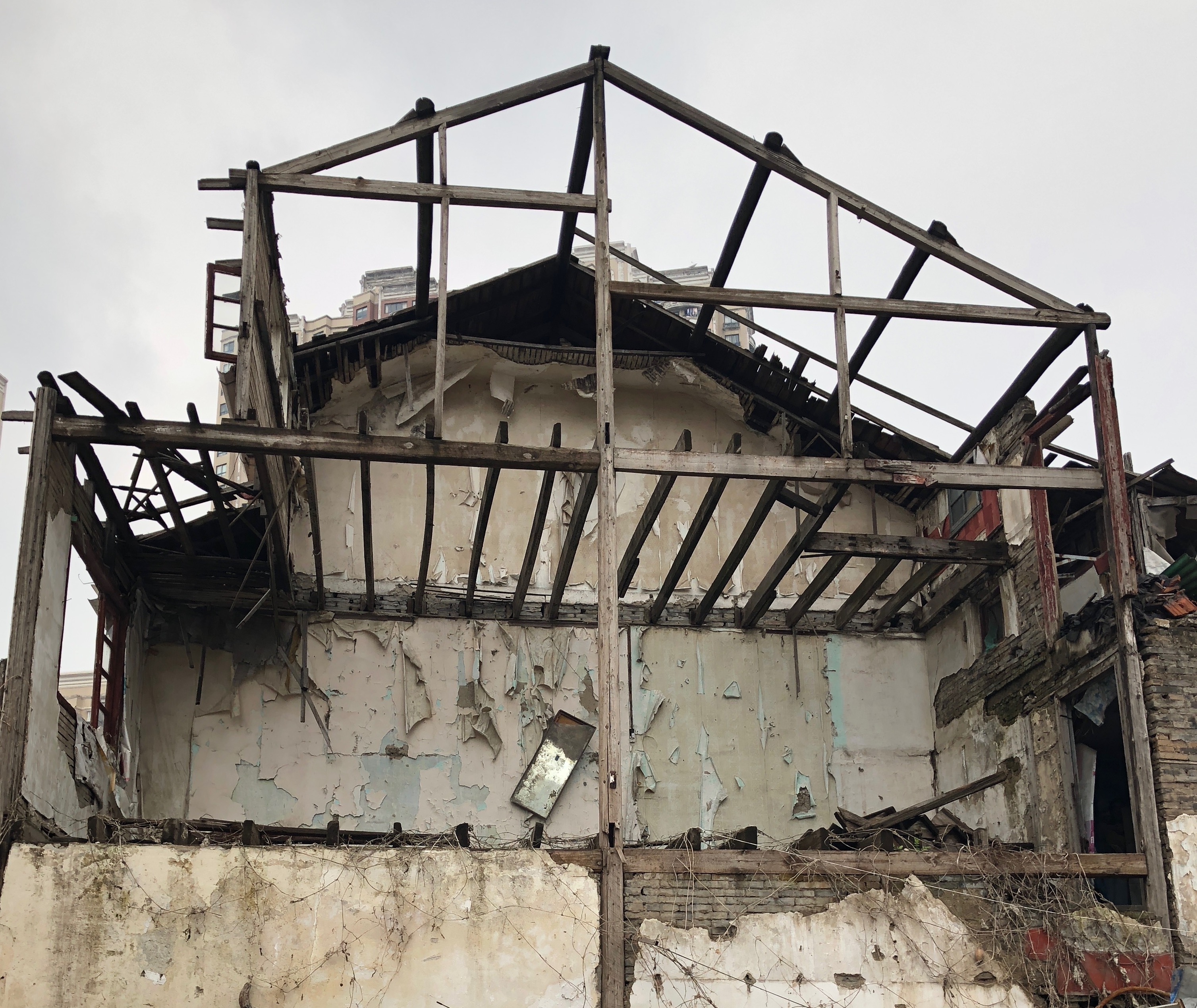 A Microcosm from 'Demolition' to Coexistence 从&ldquo;拆那&rdquo;到共生的微观样本