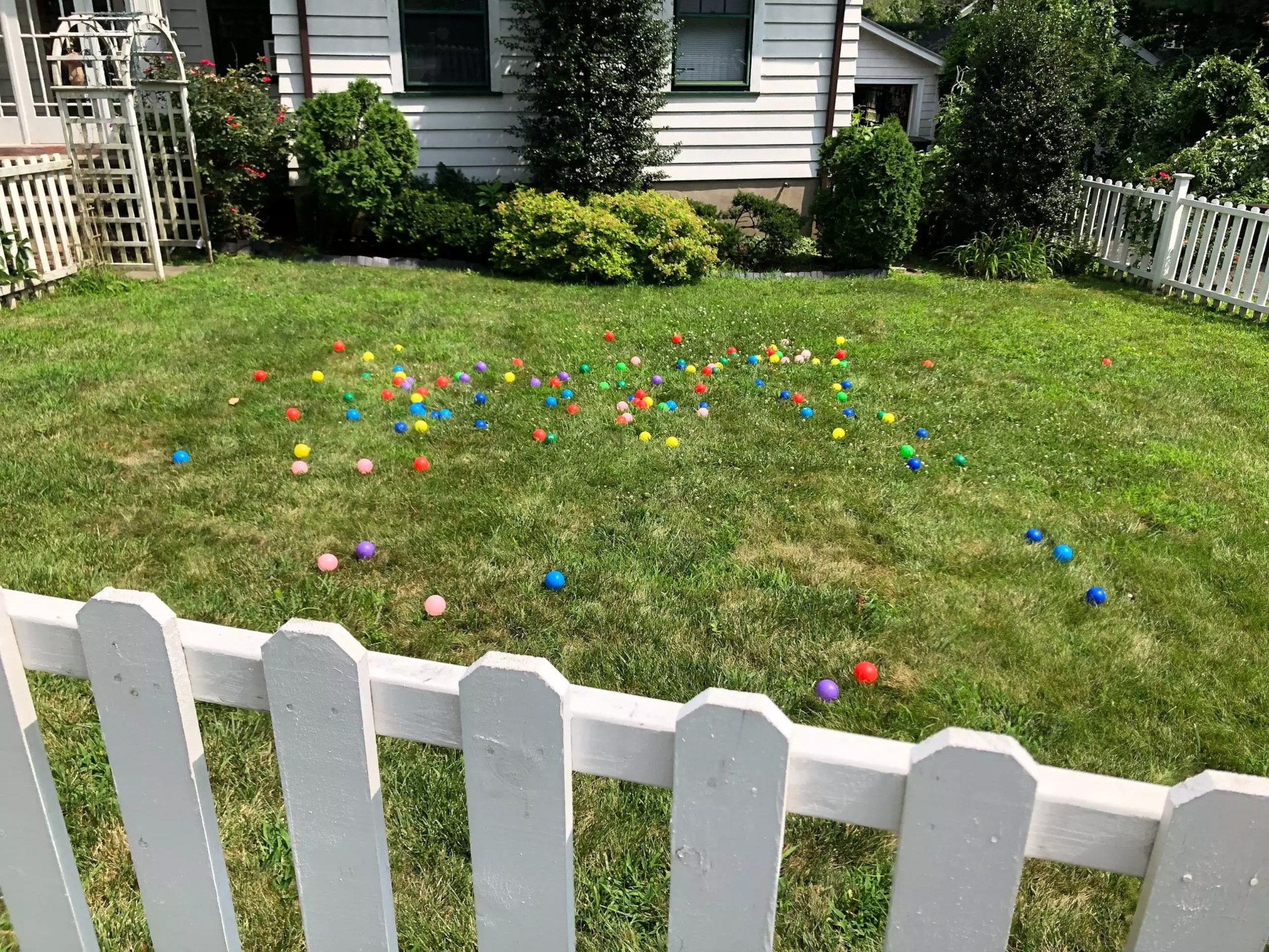 MAPLEWOOD, NJ • 2019