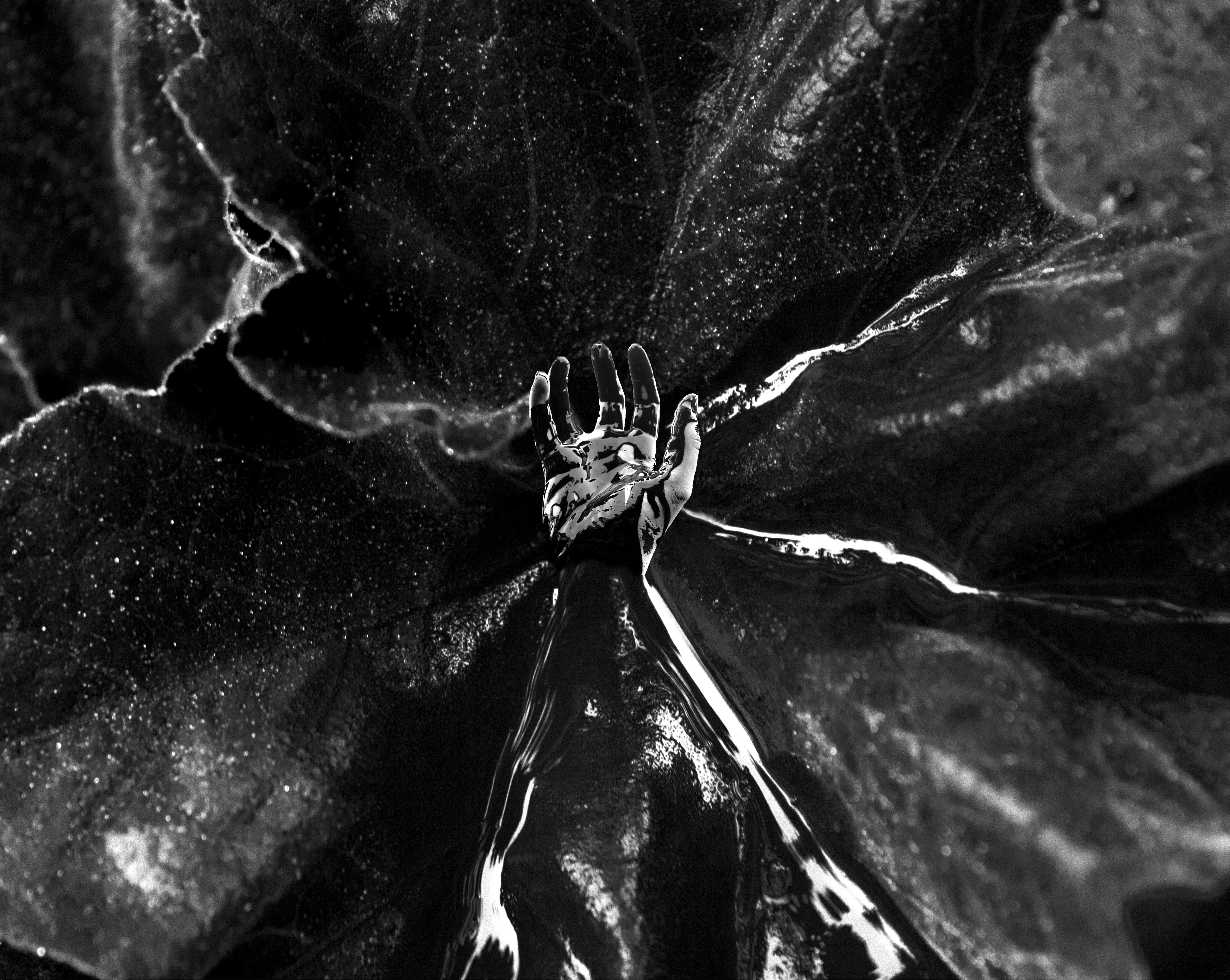 Suffocate_Gallery_19