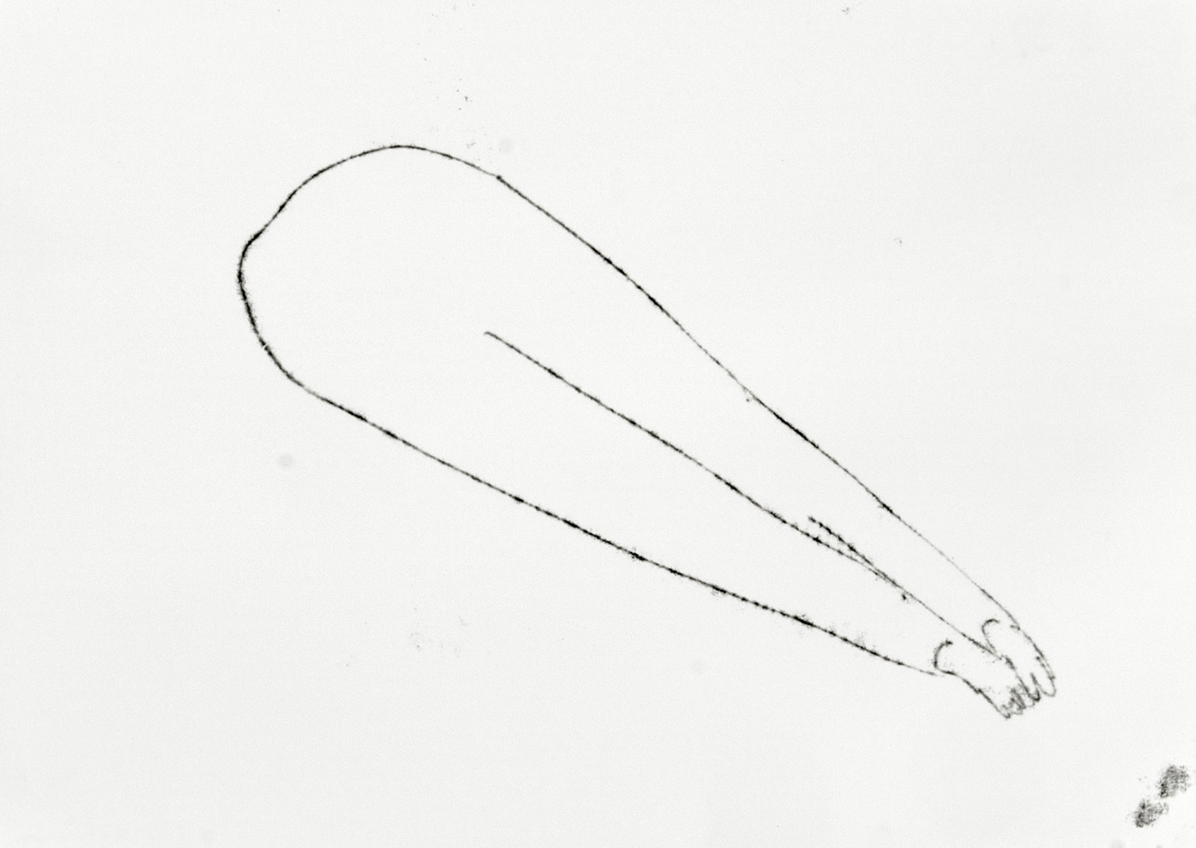 Jared Ginsburg, Drawing of Legs (2013) | Etching ink monoprint on paper, 45.5 x 32.5 cm