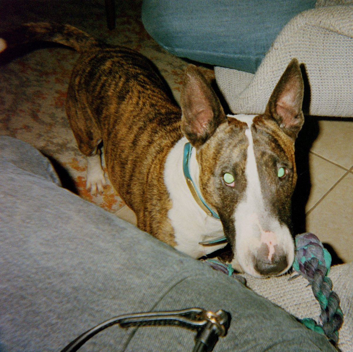 claire rousay  Friends