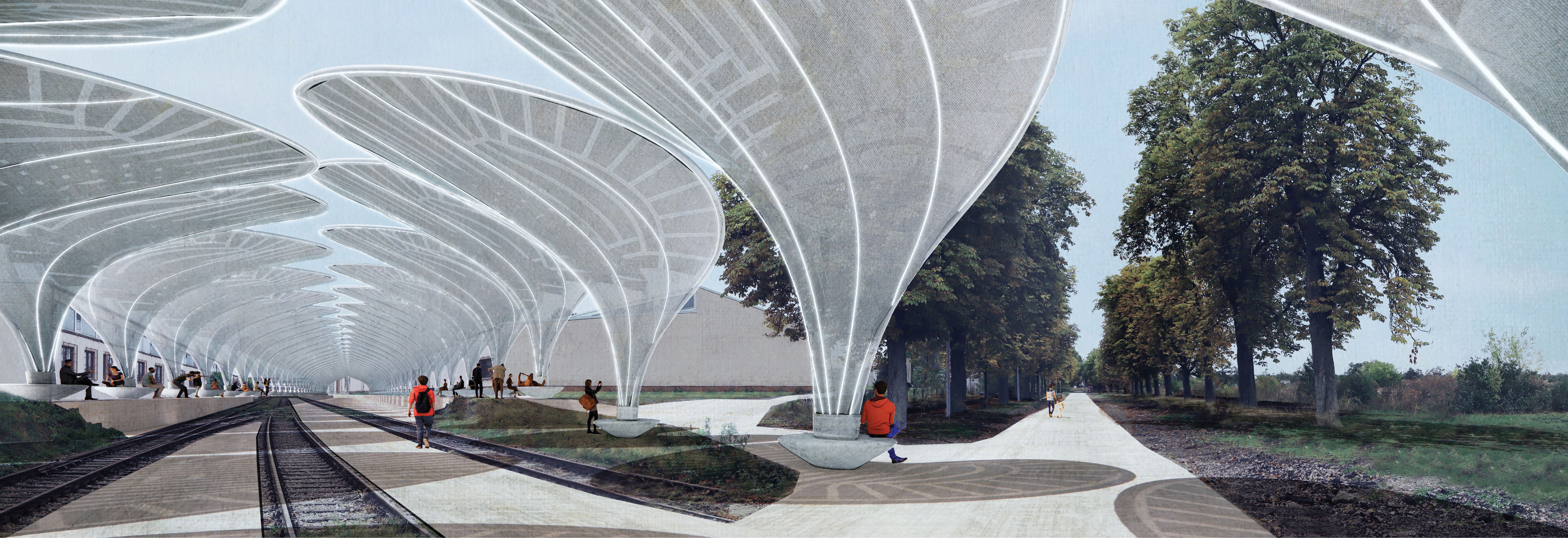 render by Kangyi Shen