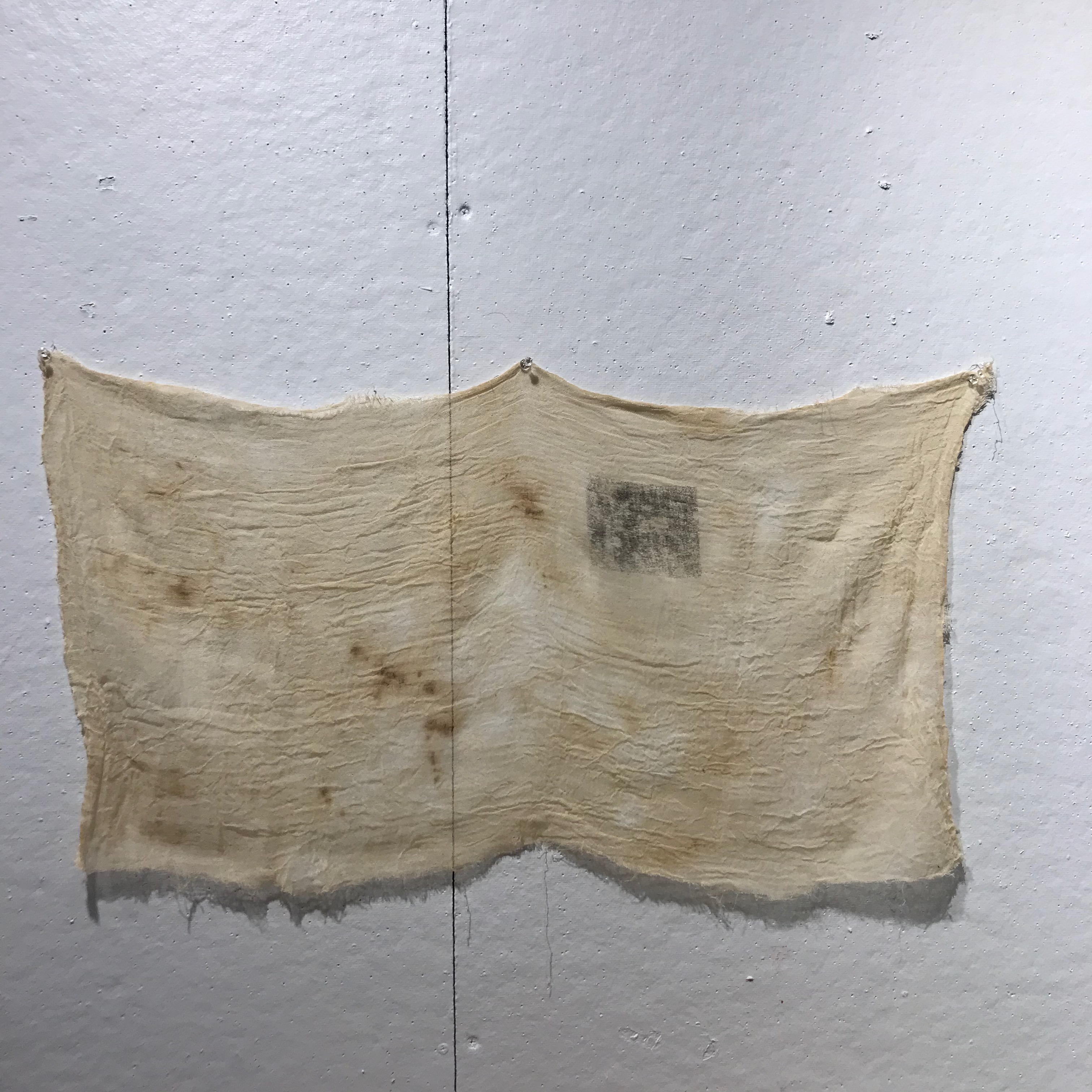 Shroud / silkscreen on gauze, 2020
