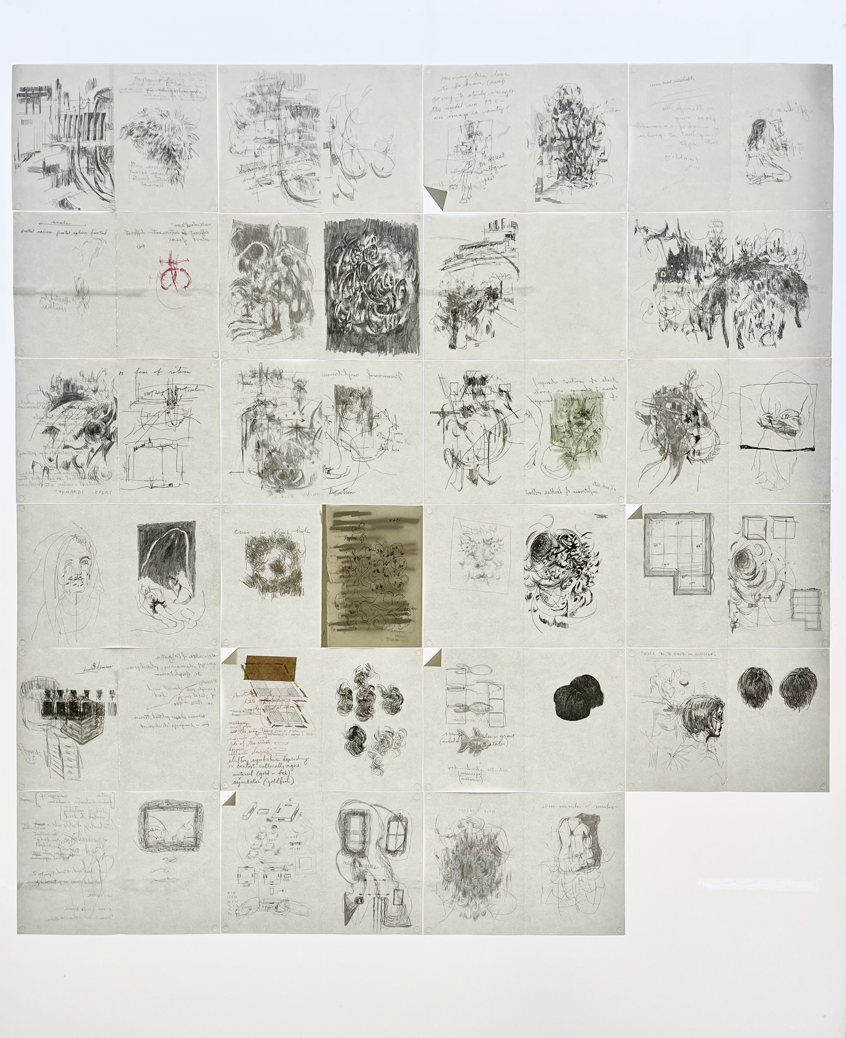 The Surgery, 2024. Graphite and ink on paper on window.