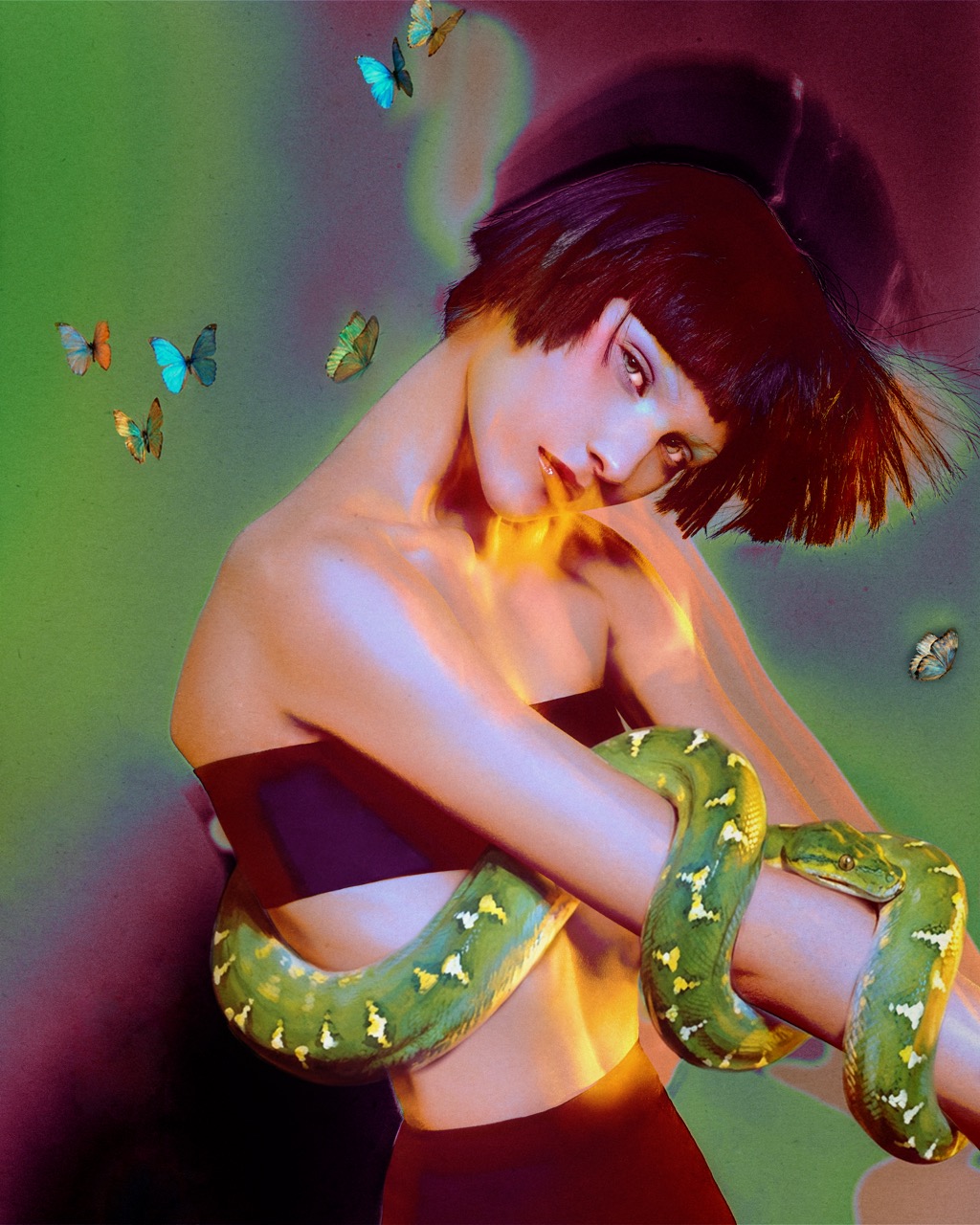 Bees and Birds - Merde Magazine