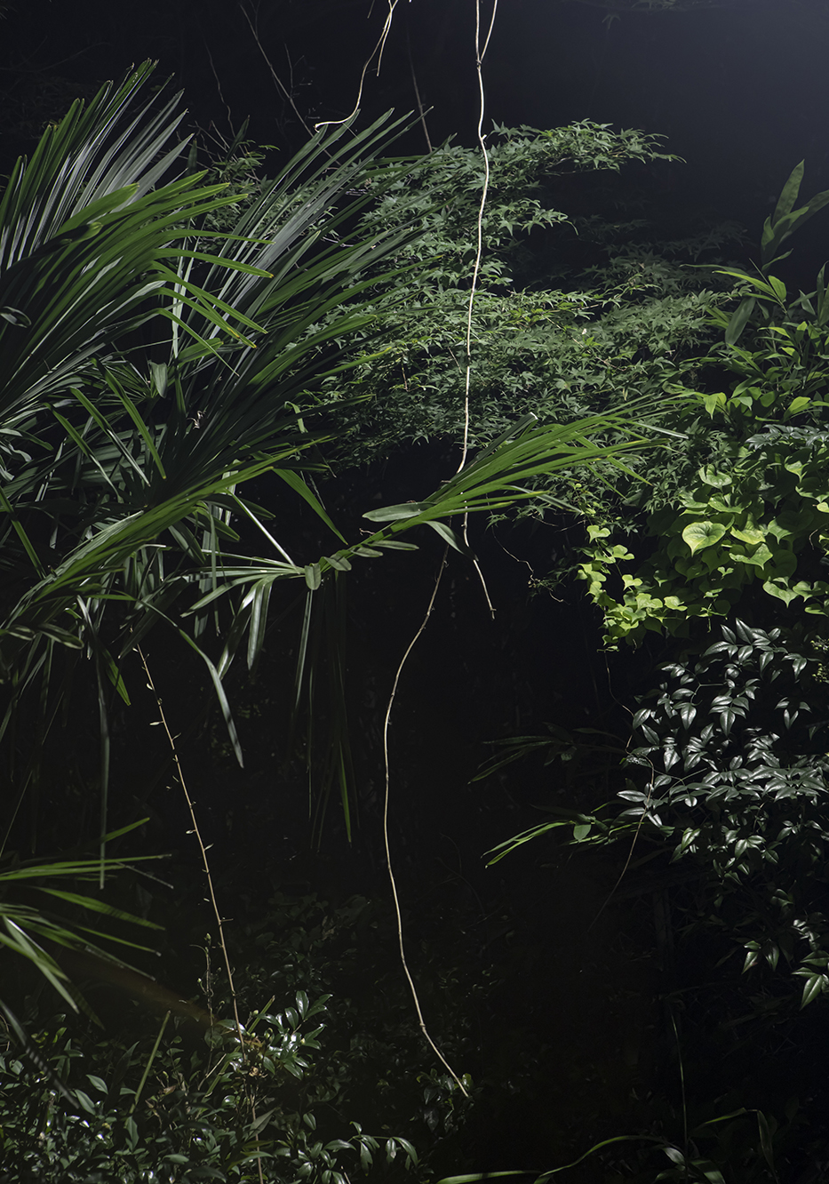 PHOTOGRAPHY RAF STUDIO  VILLA KUJOYAMA KYOTO ART CENTER SYNCHRONICITY EXHIBITION